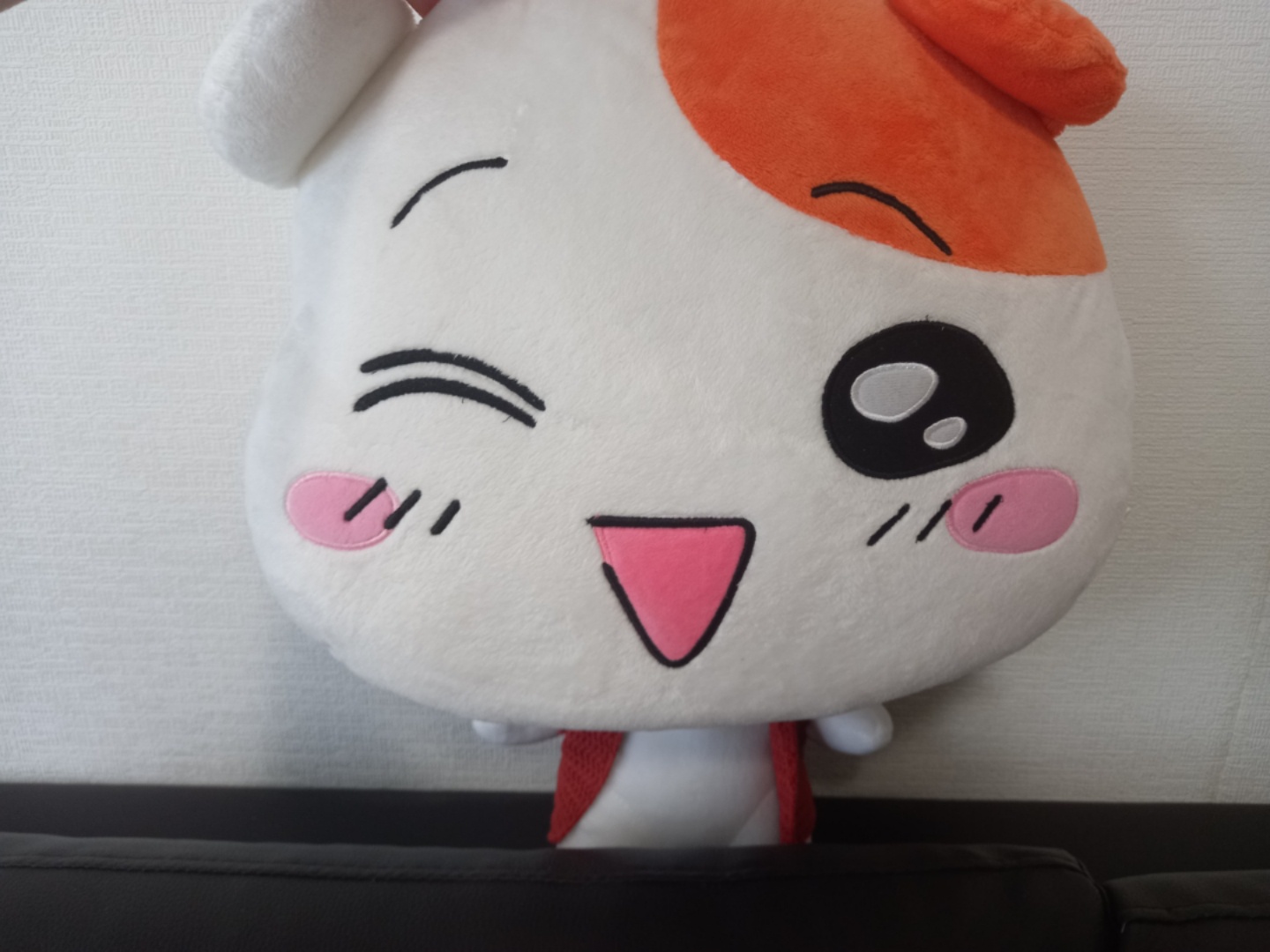 에비츄 인형과 쿠션