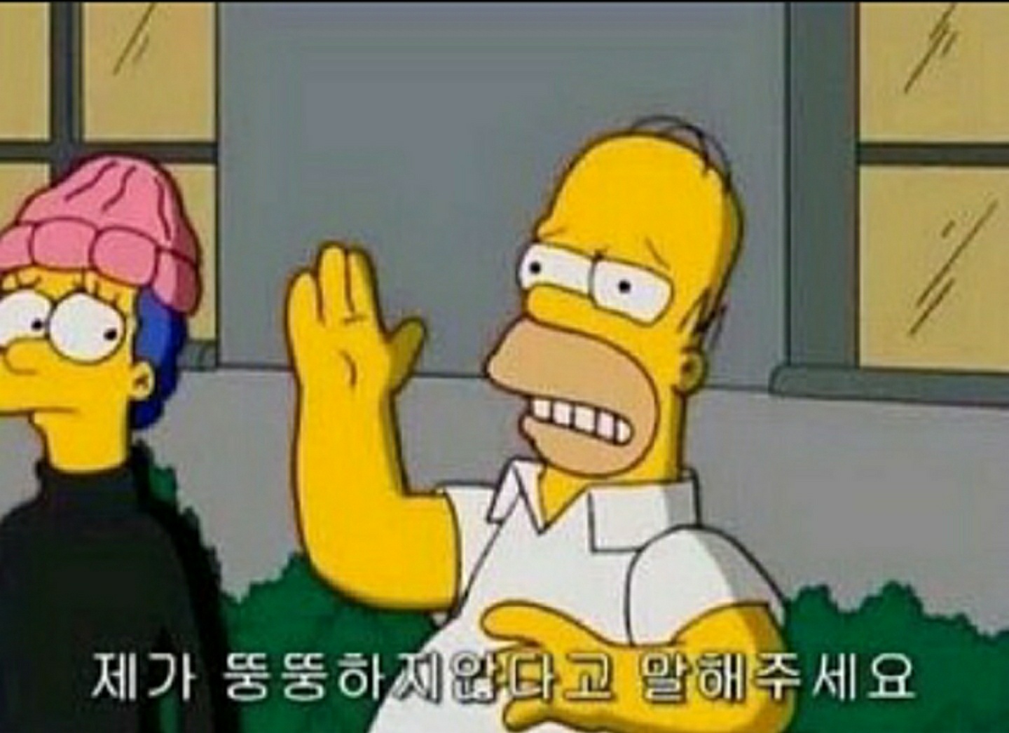 ㅁrㅈi언니..비니 쓸 수 있는 거였어..?