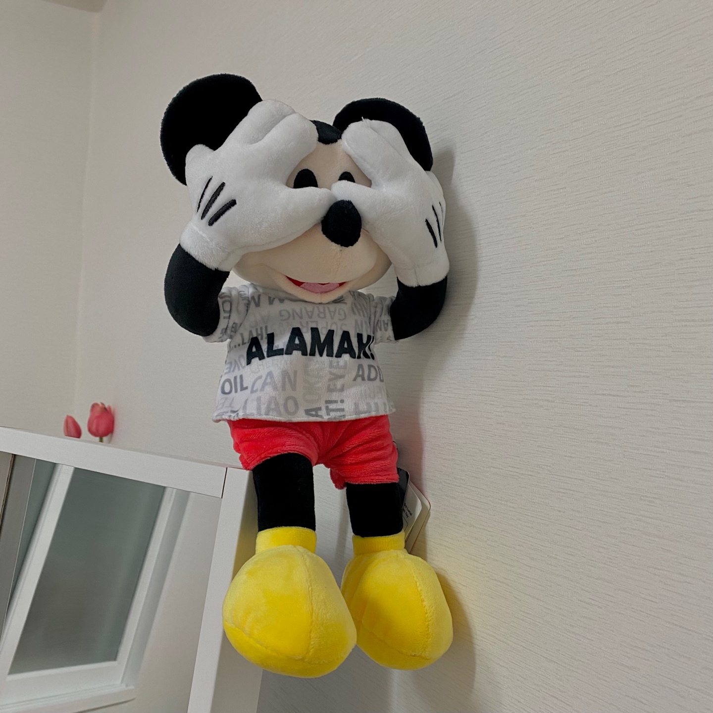 🐭 MICKEY MOUSE 🐭
