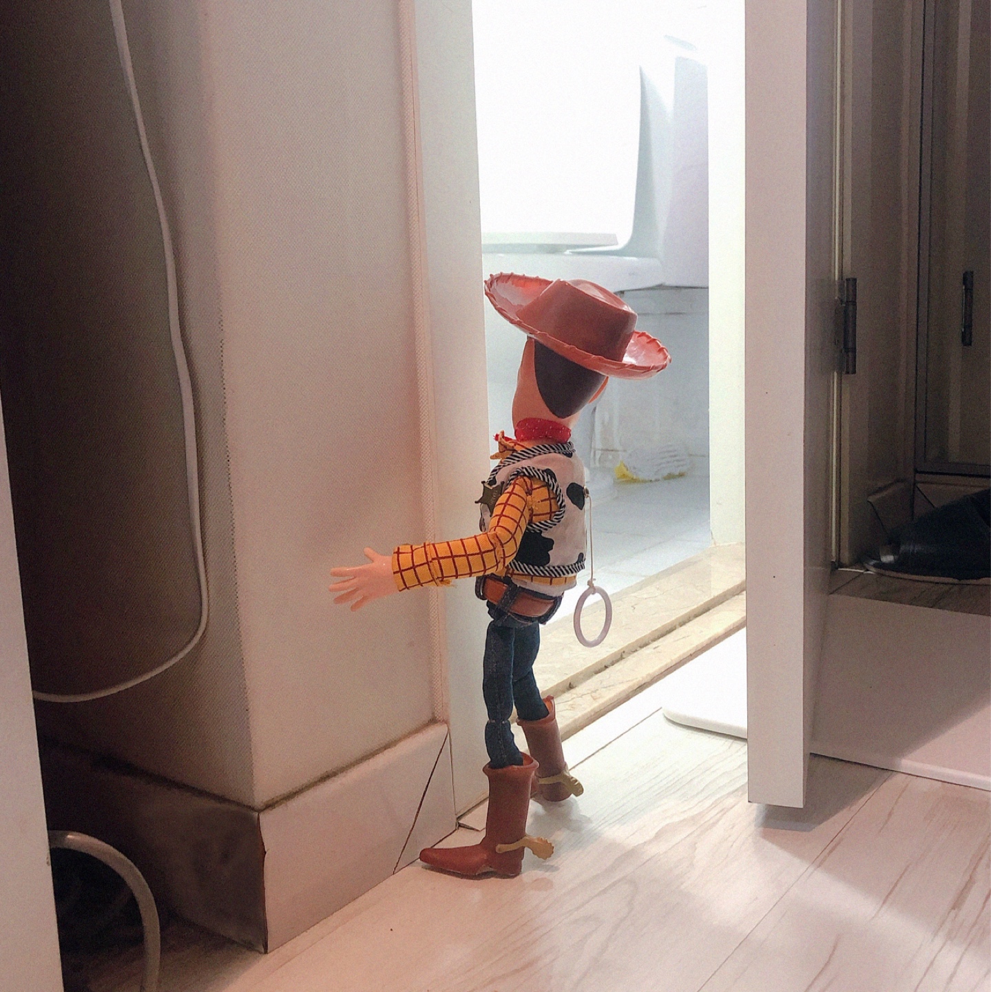🤠 Prison Break : Woody 🏠
