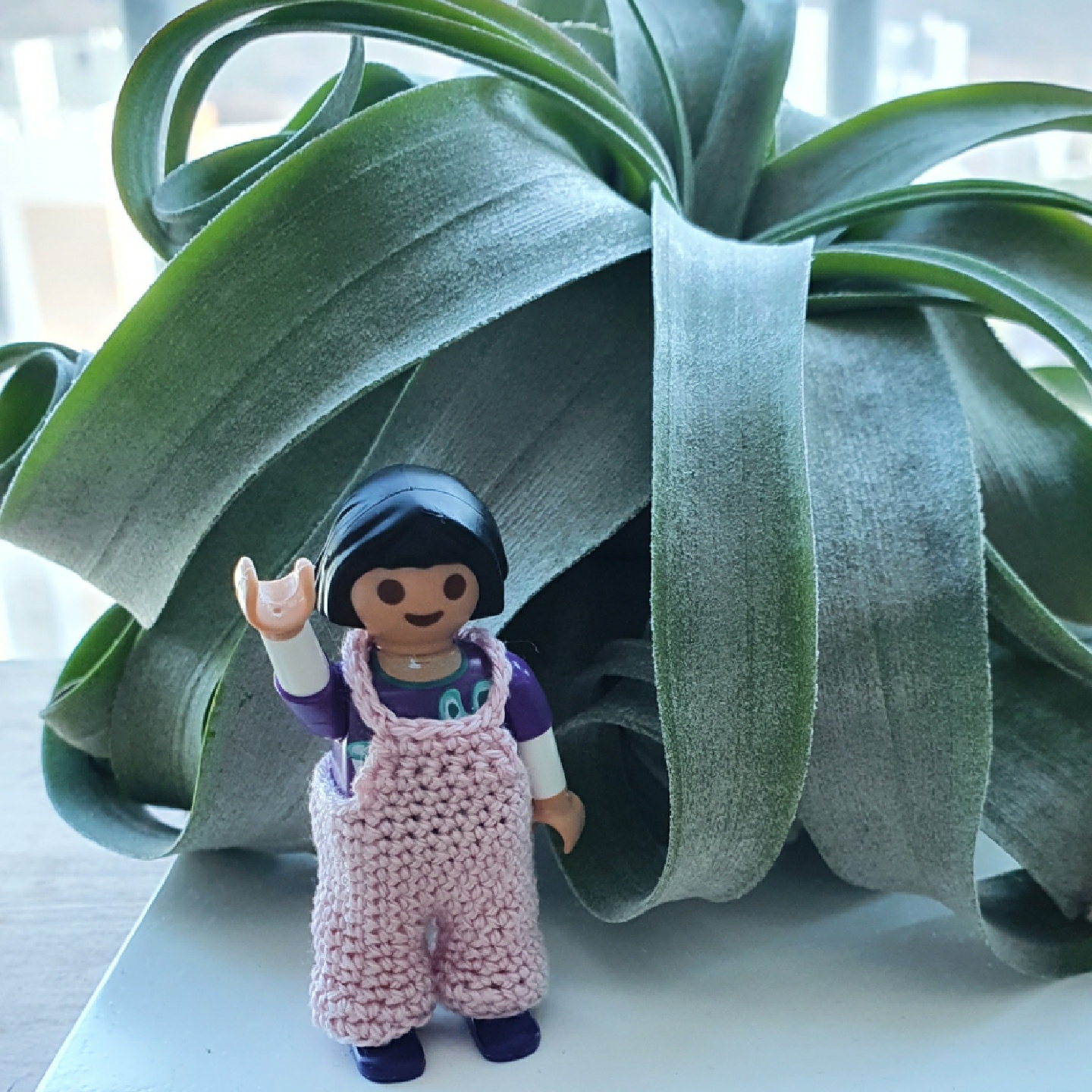꼬마 플모♡