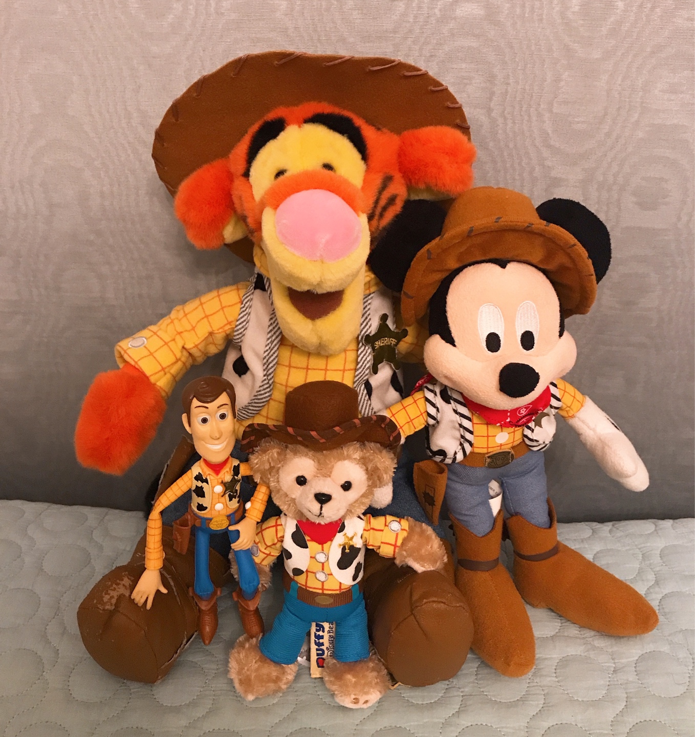 Toy Story Woody💛💙