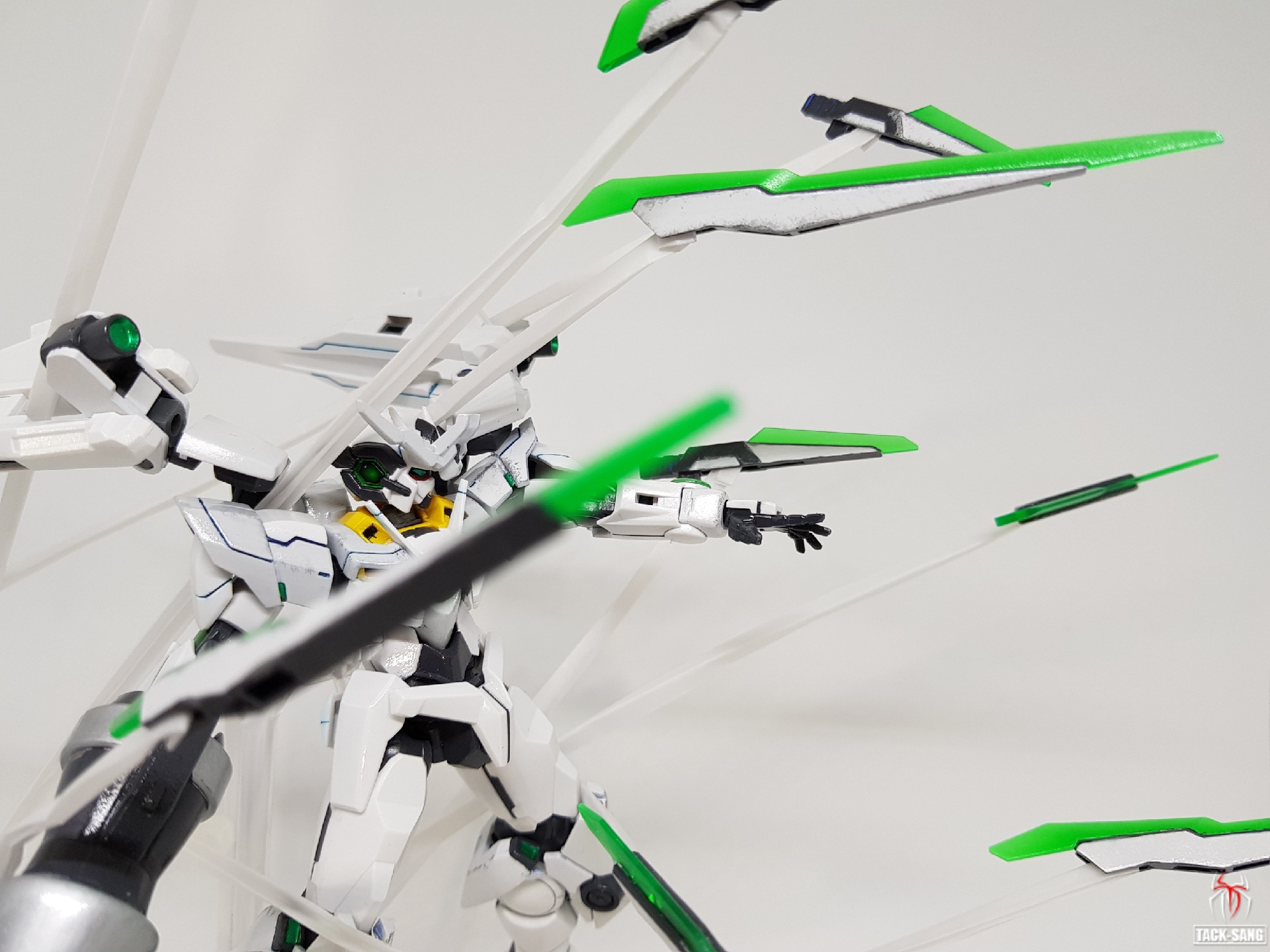 HGBF 시그너스 퀀터 <Cygnus OOQ>