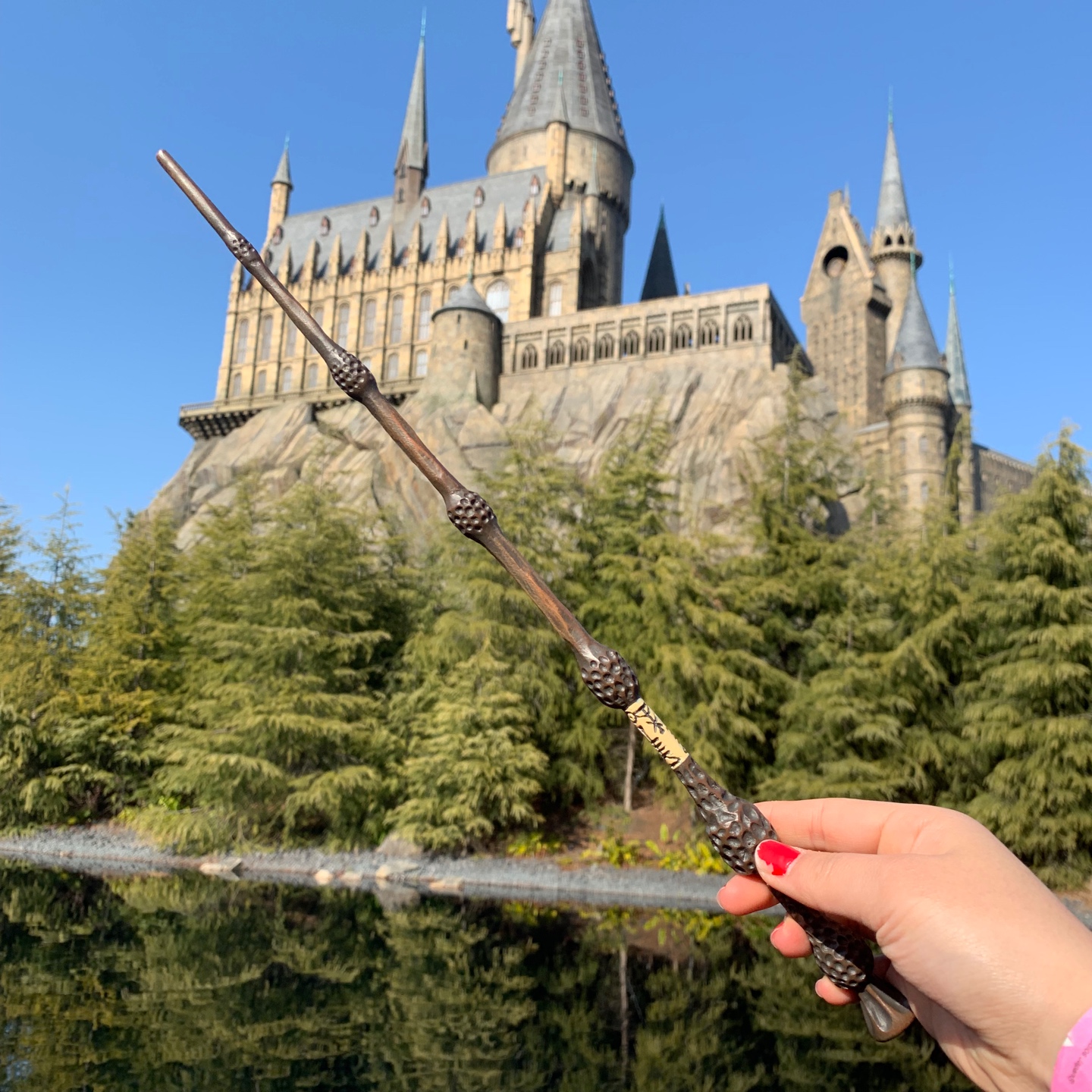 호그와트에서