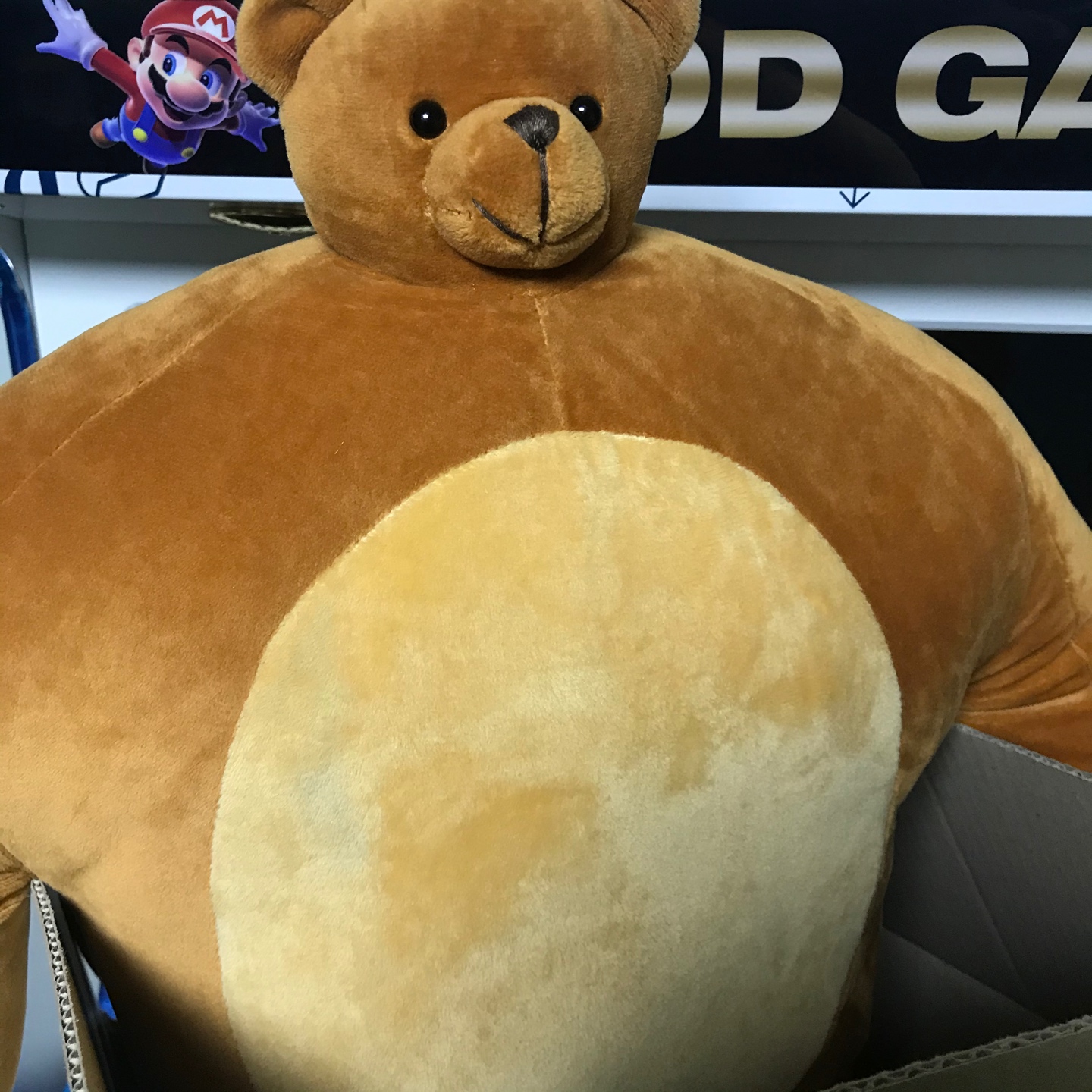 🐻소두곰인형🐻