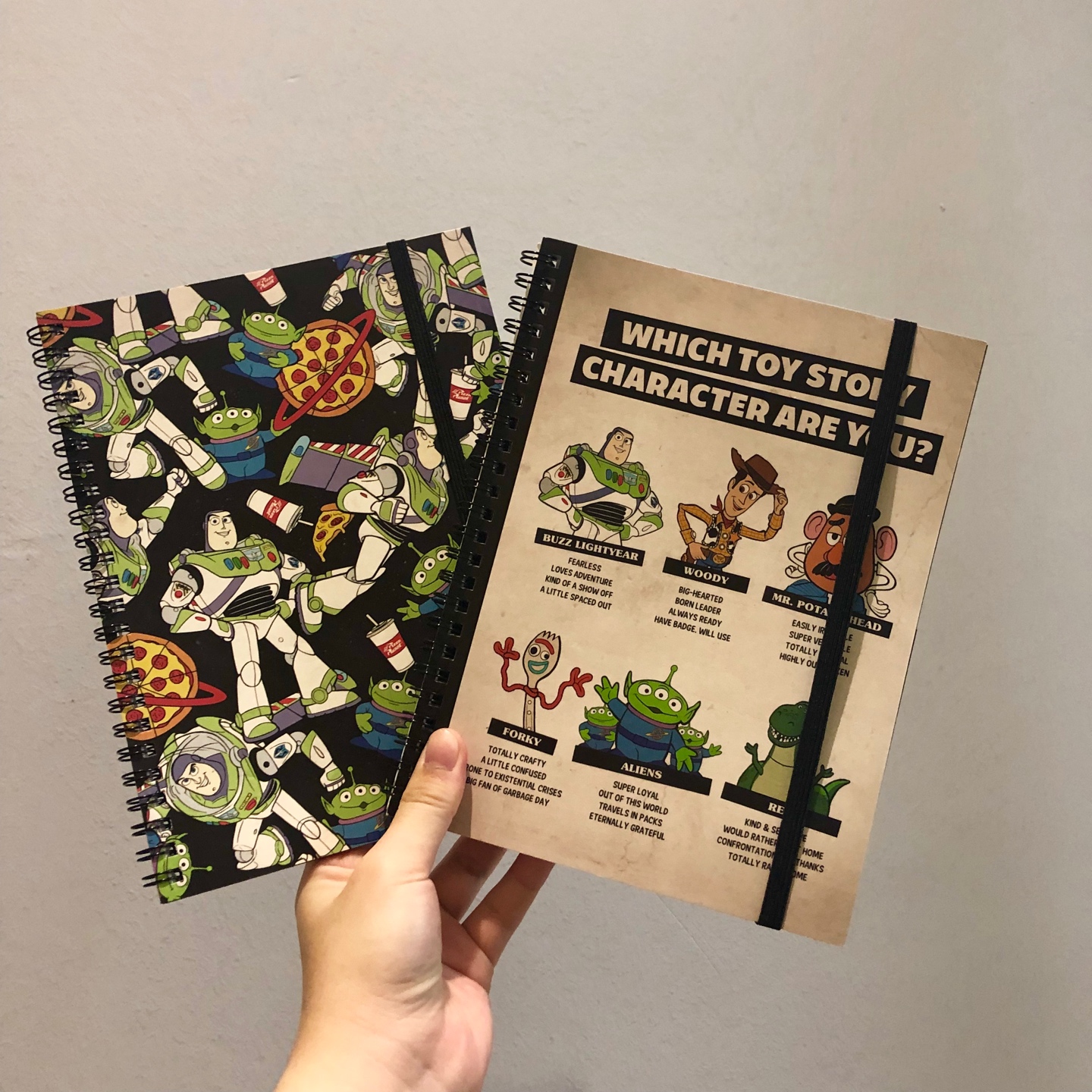 📓 TOY STORY NOTEBOOK 📓