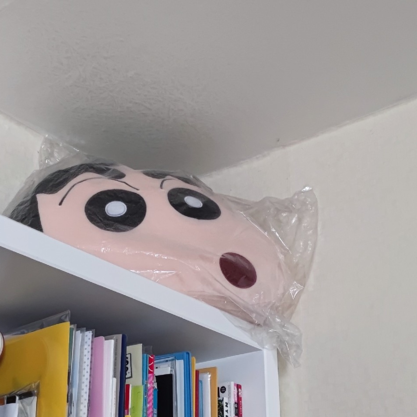 오래된 애들은 정리하고 남은 인형들