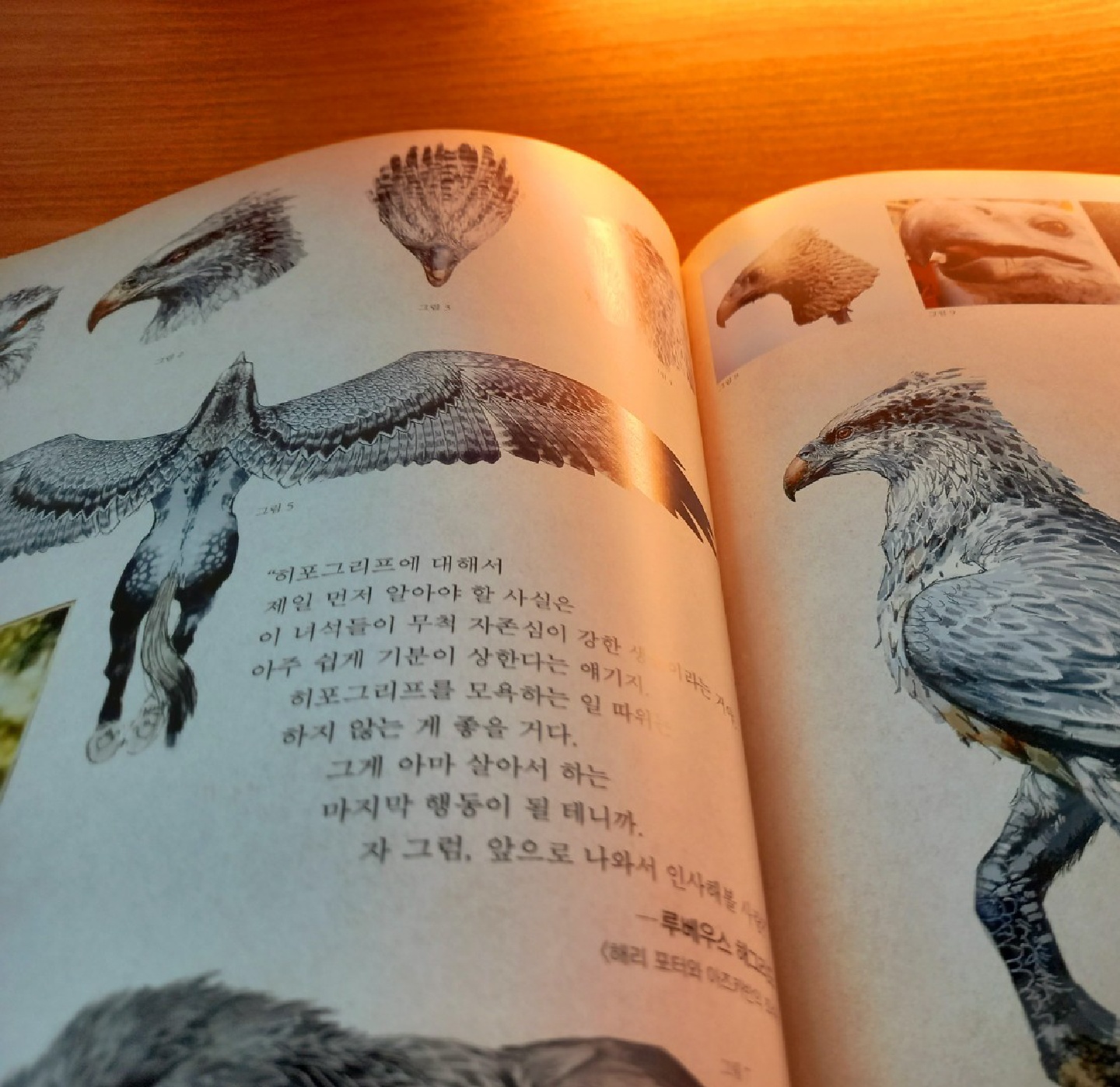 해리포터 : 생명체 금고