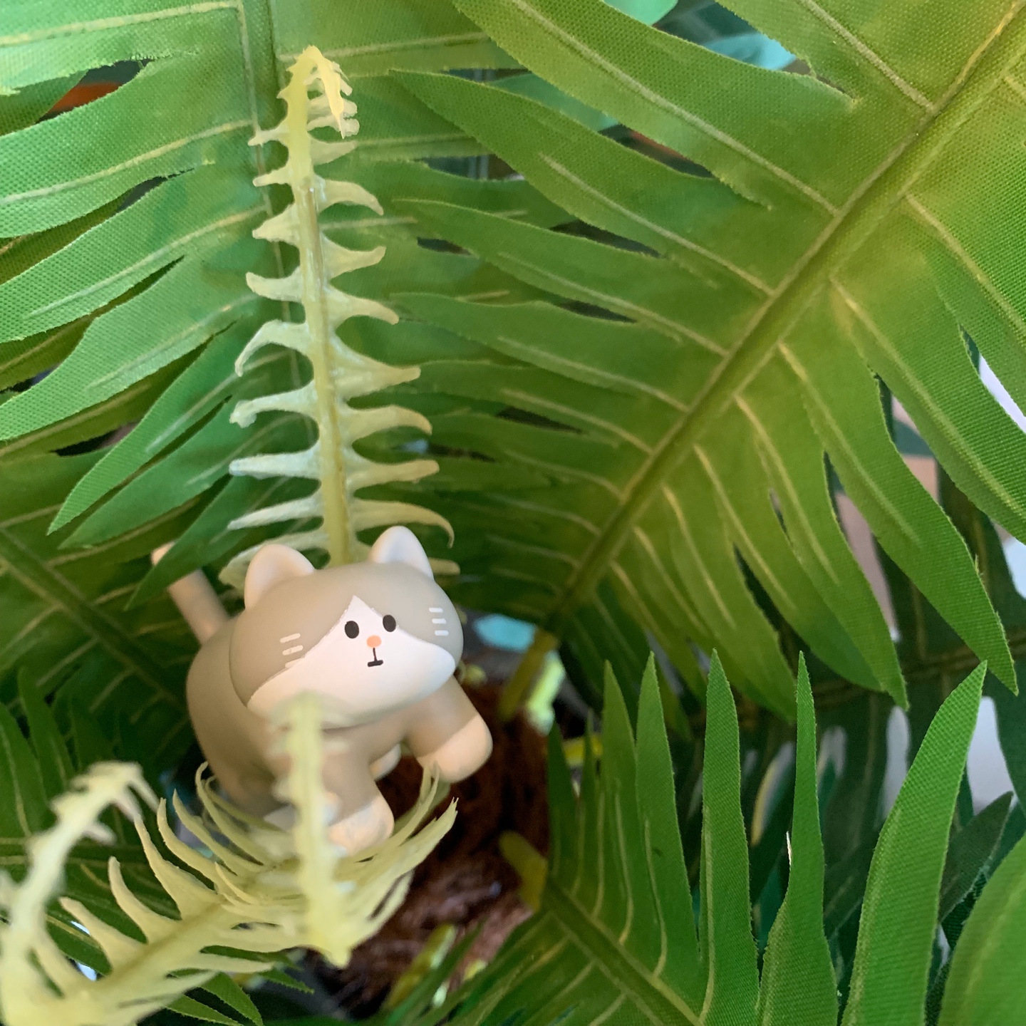 살려줘냥🐱