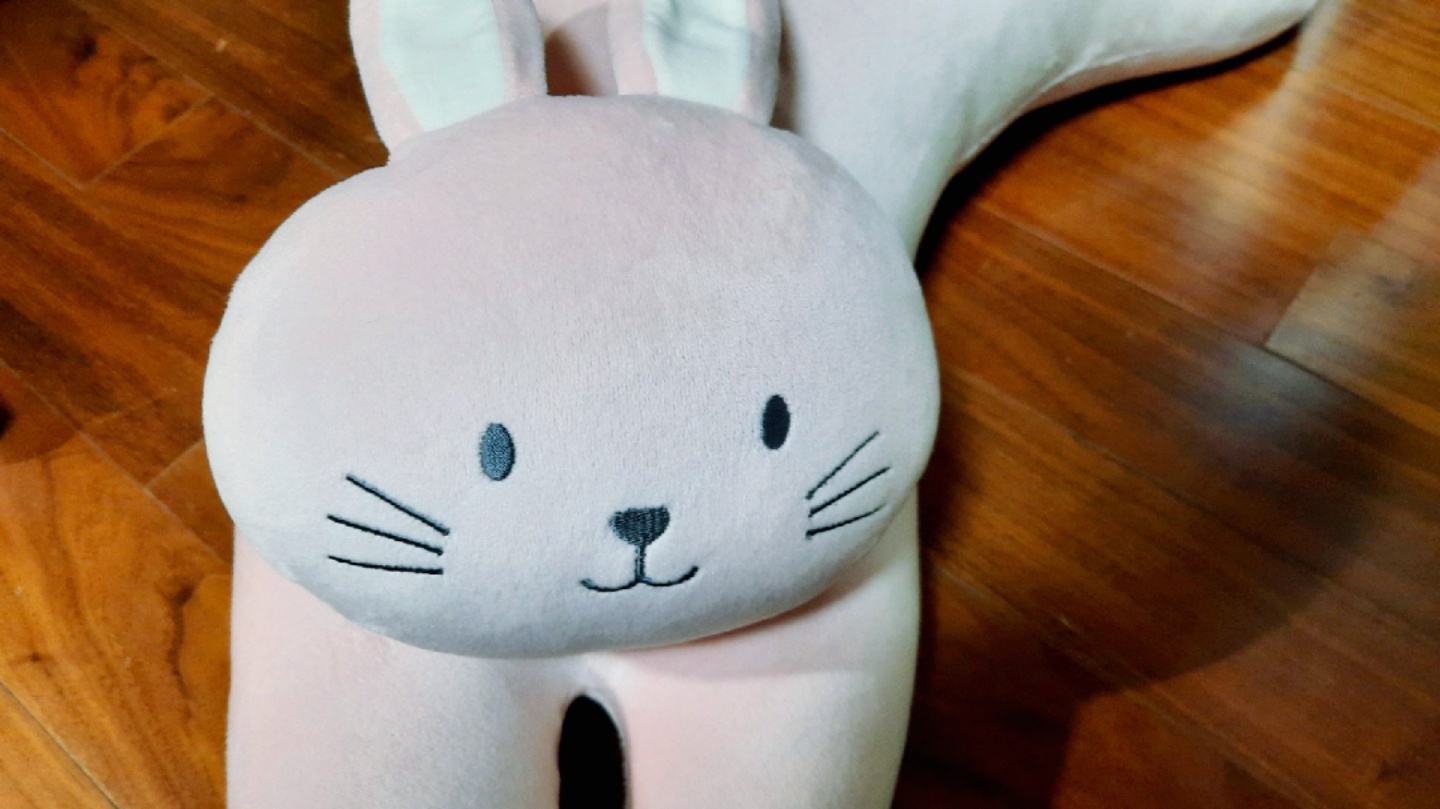 이름은 토리🐰🐰