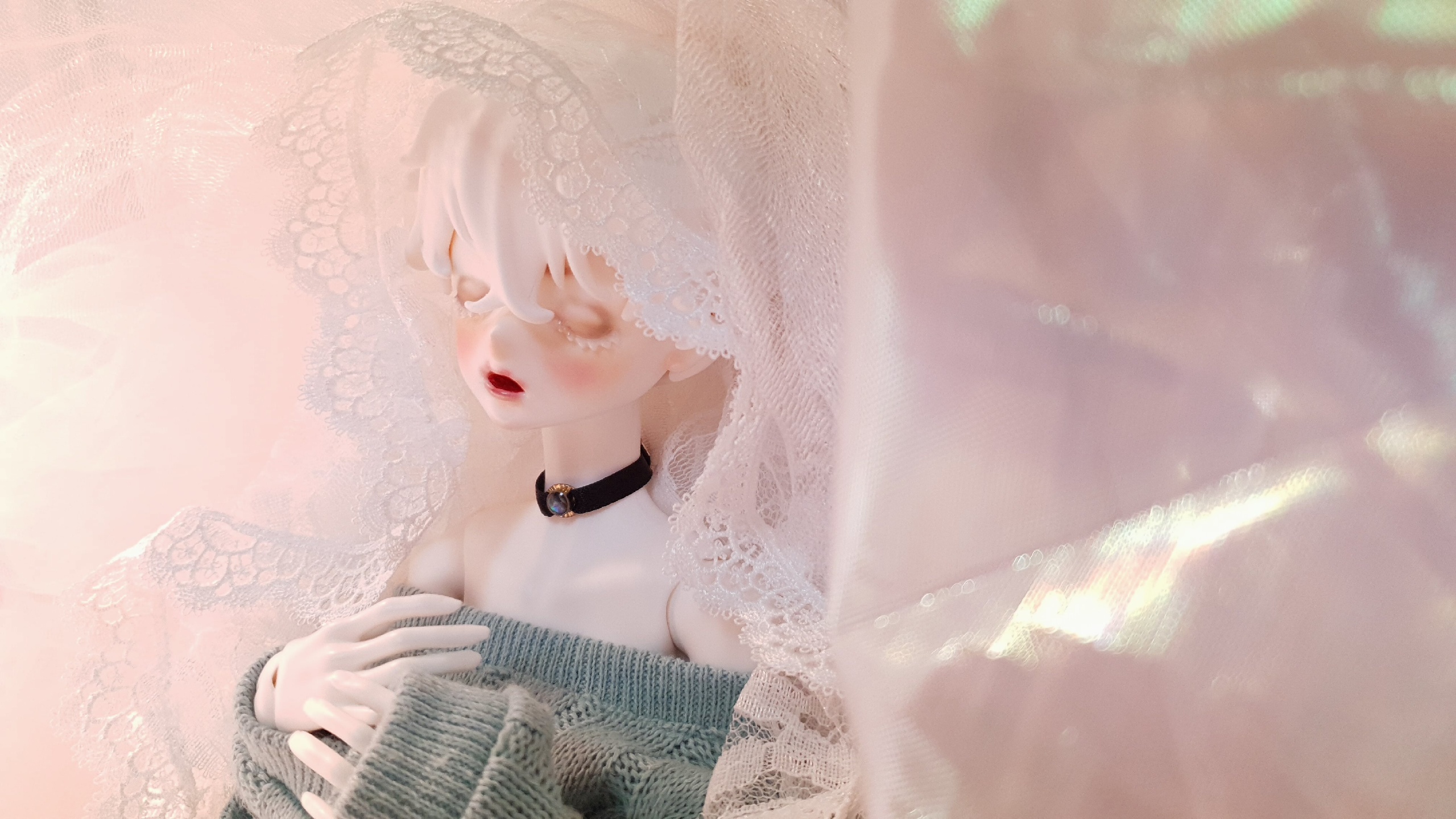 홀리홀리 피티♡