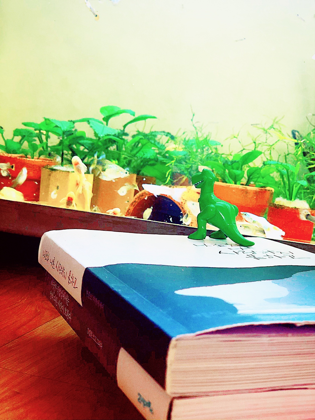 렉스의 꿈
.... "To infinity, and Beyond”