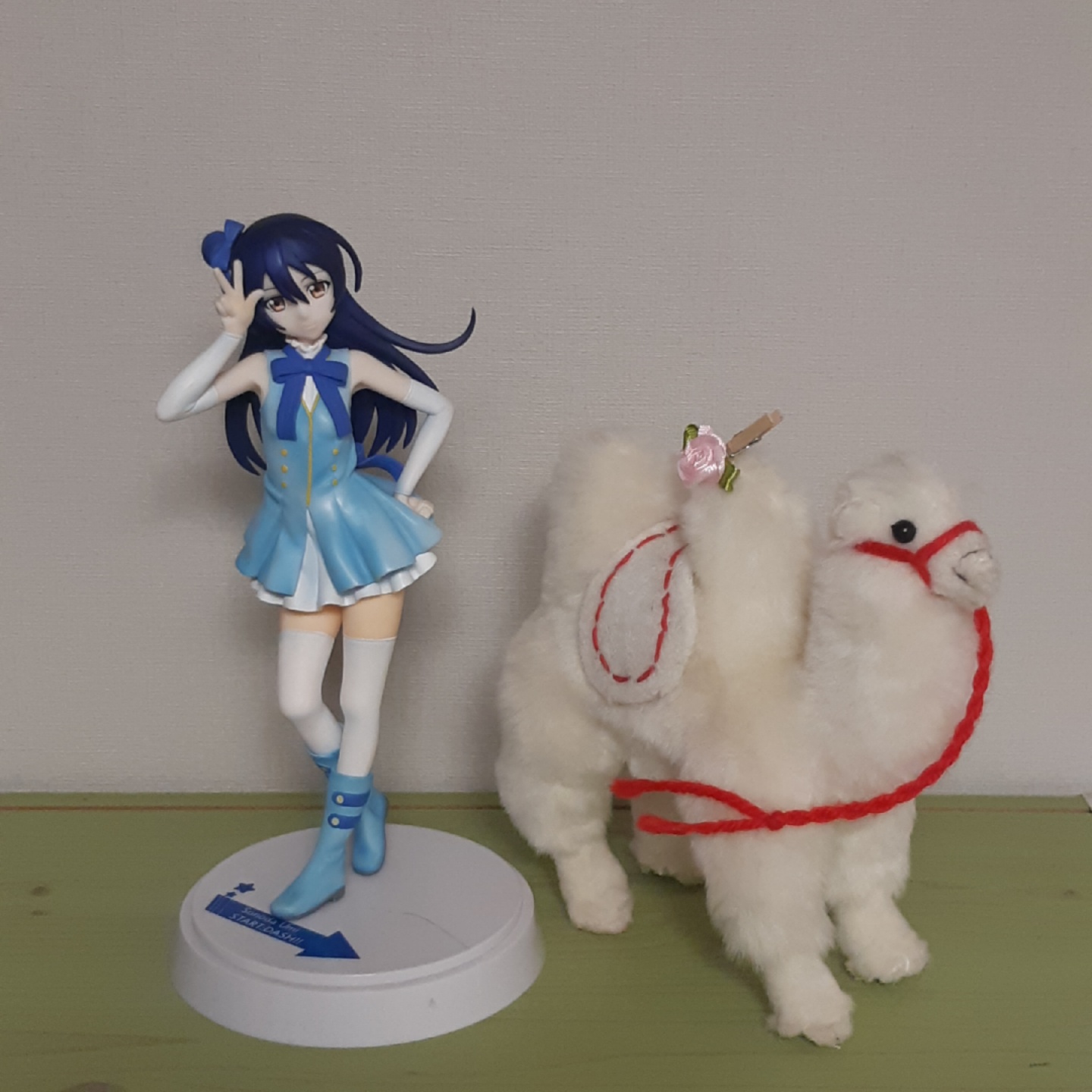 💙🐫