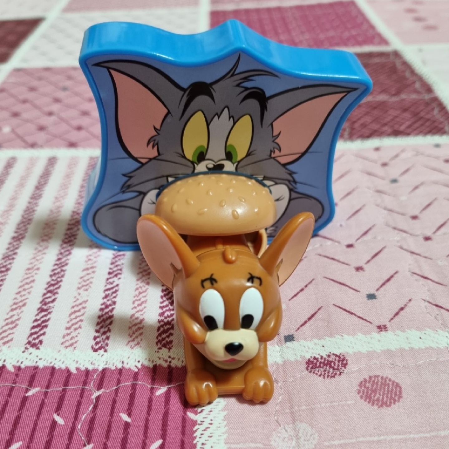 톰과제리