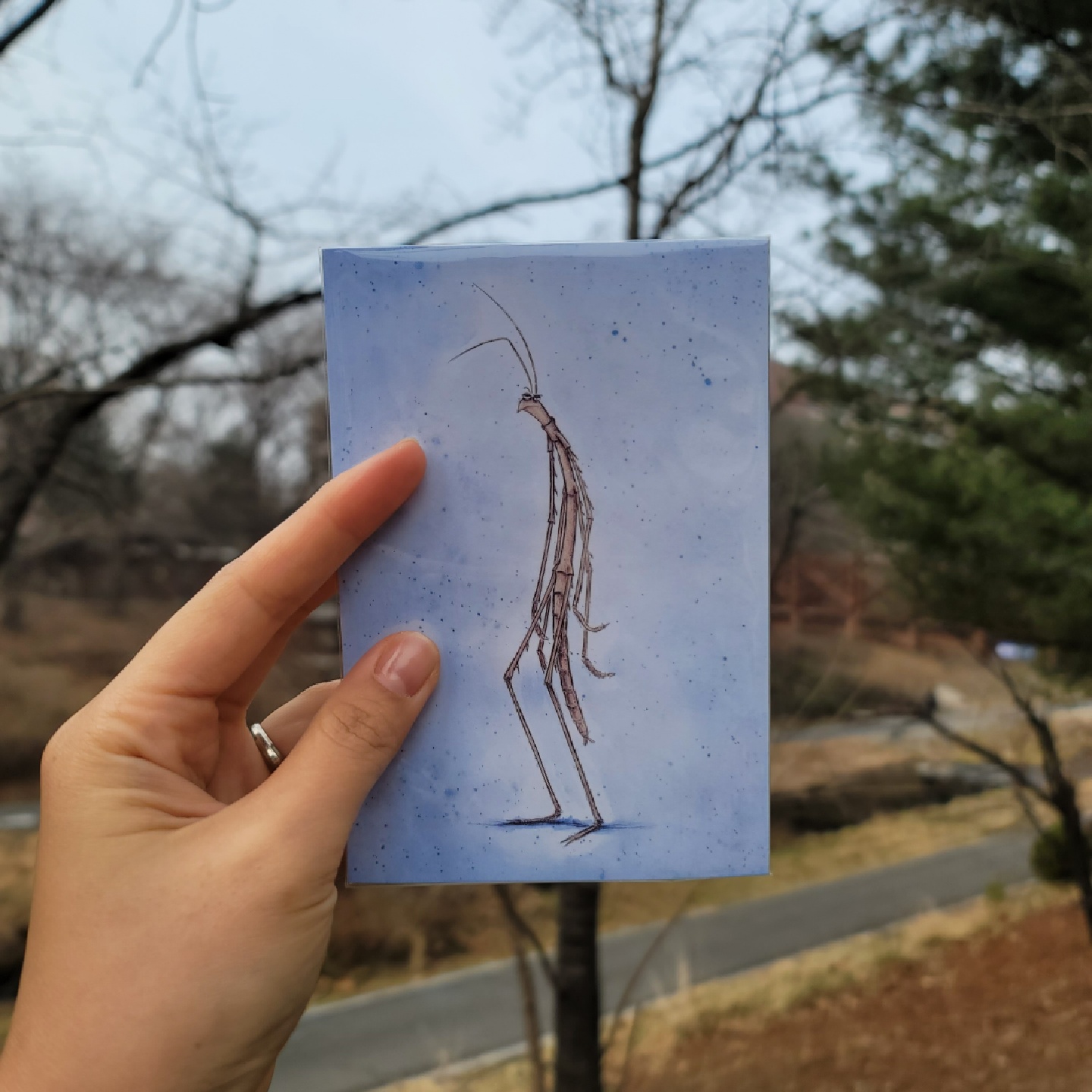 콜리 가챠(키링)