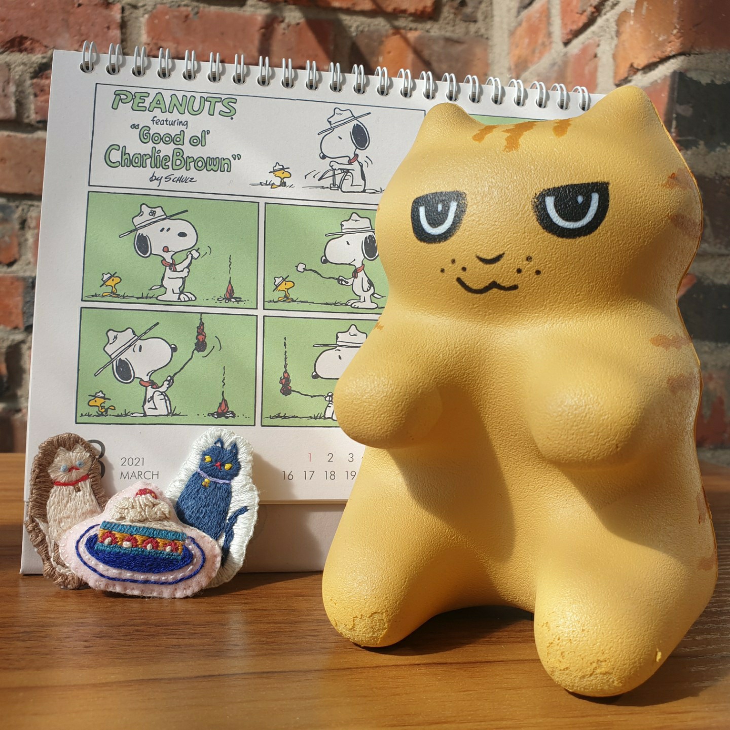 고양이 가족 생일잔치
