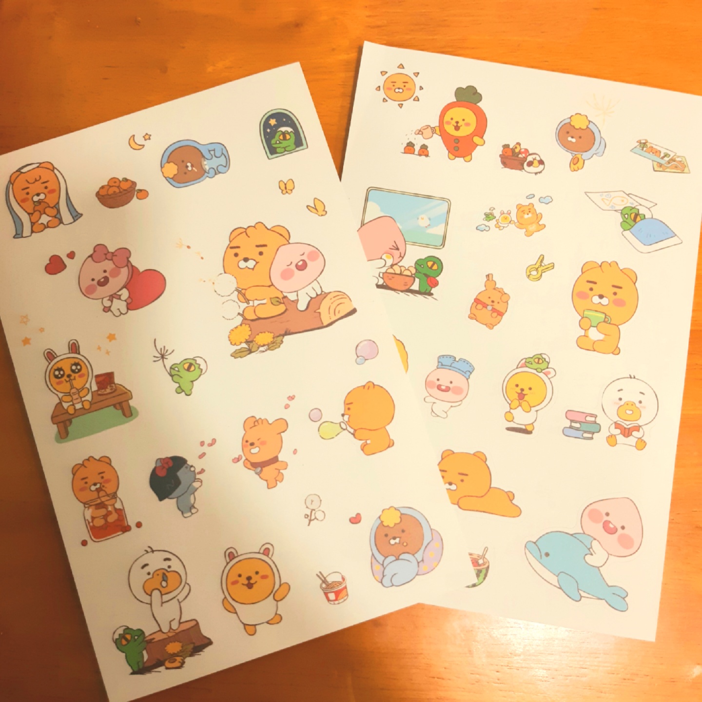 카카오프렌즈 스티커