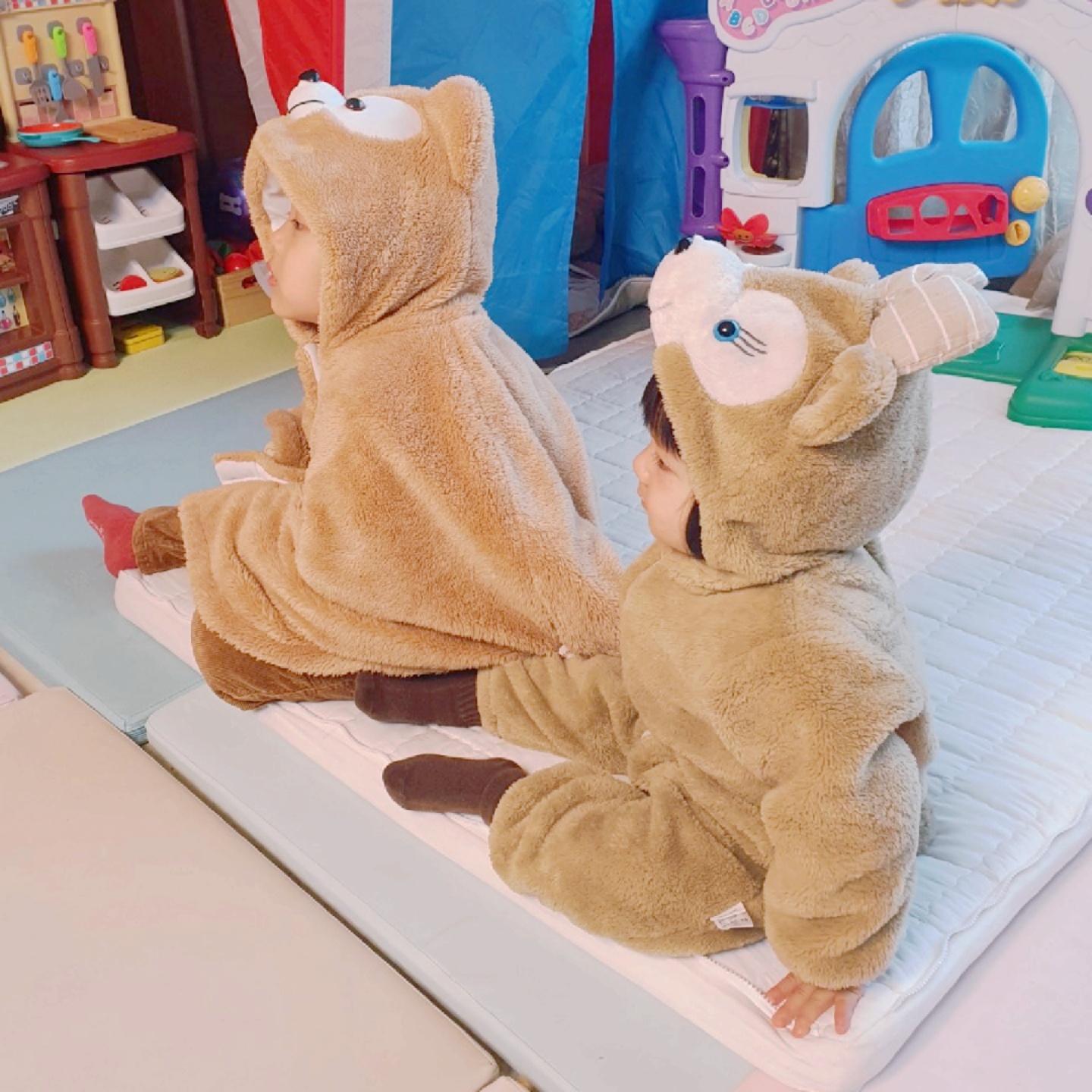 개인 소장용 한정판 더피베어s