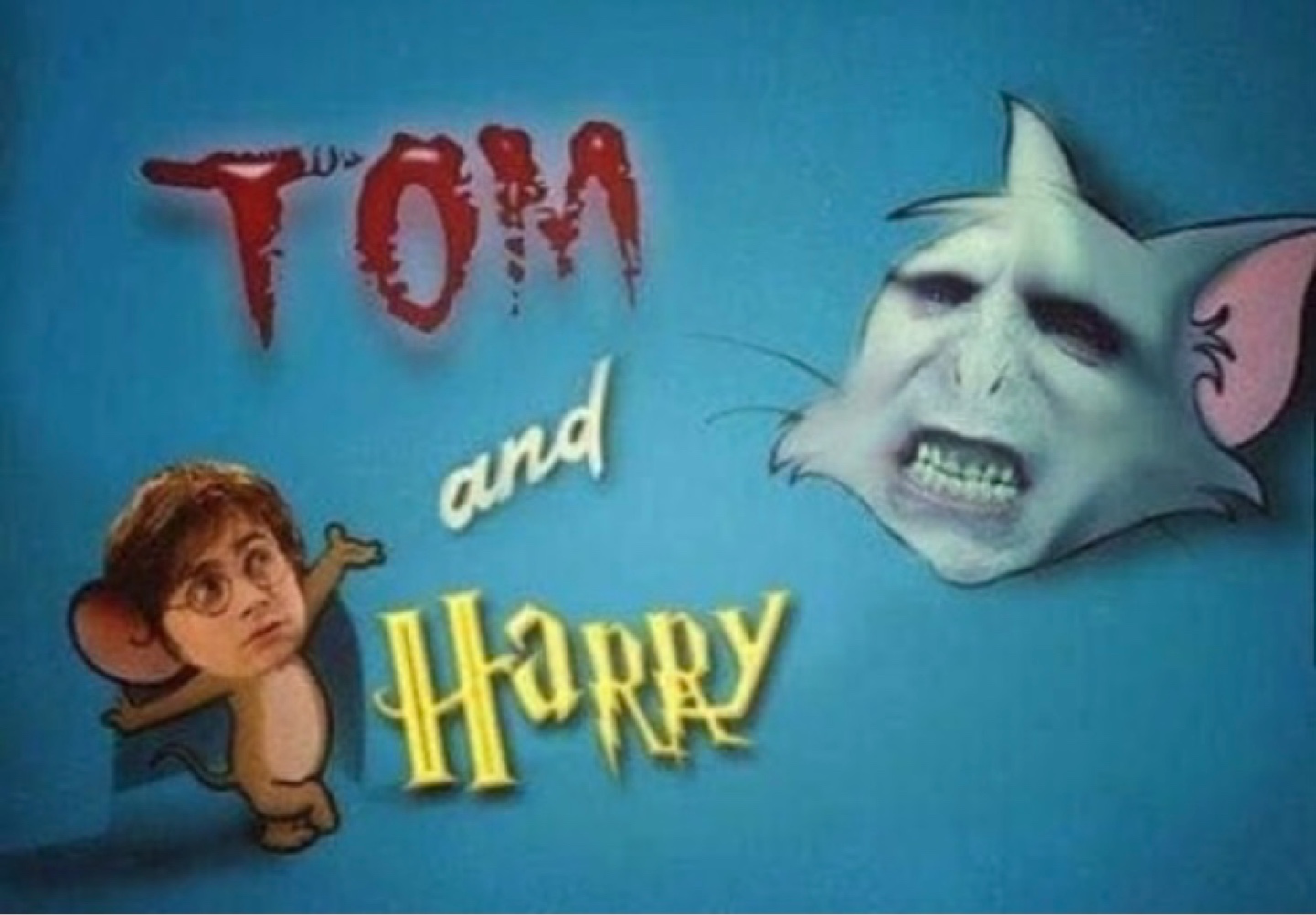 해리포터와 볼드모트🧙🥔