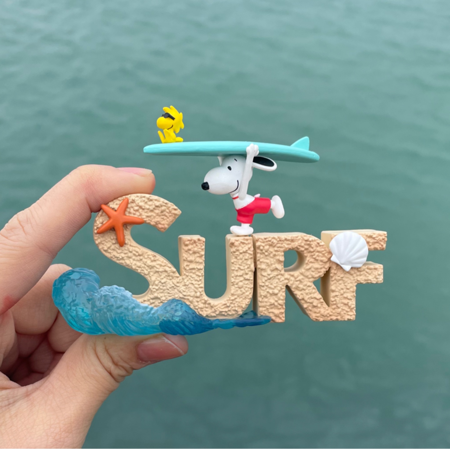 🌊물만난~~🏄‍♂️