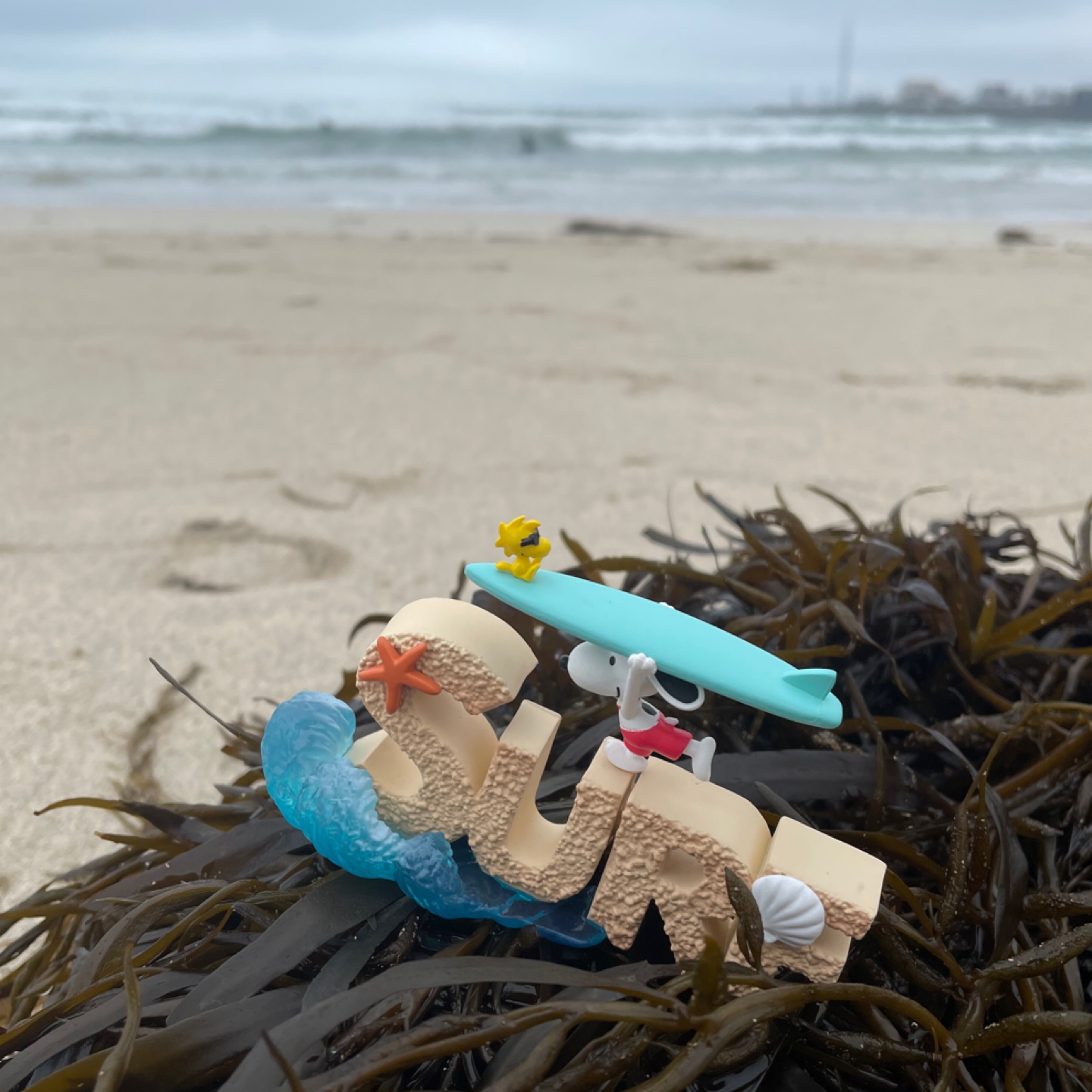 🌊물만난~~🏄‍♂️