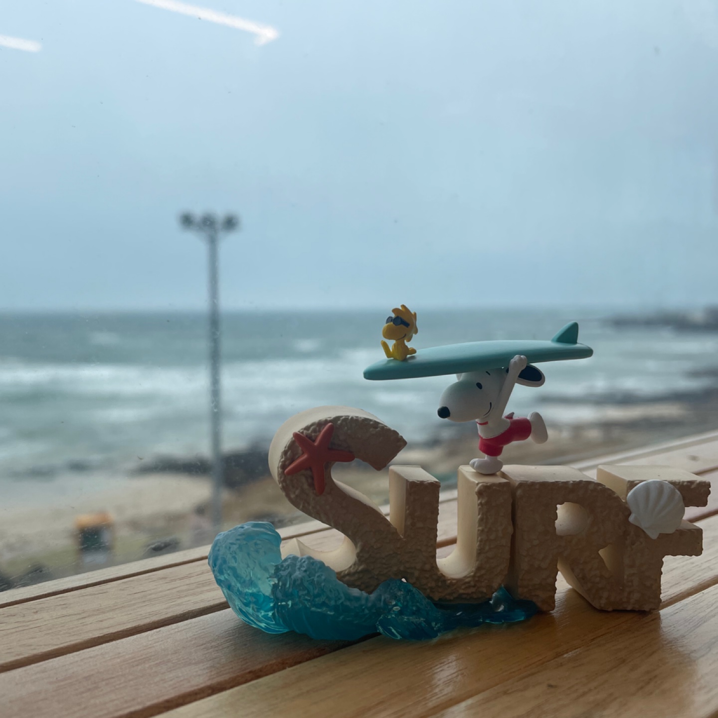 🌊물만난~~🏄‍♂️