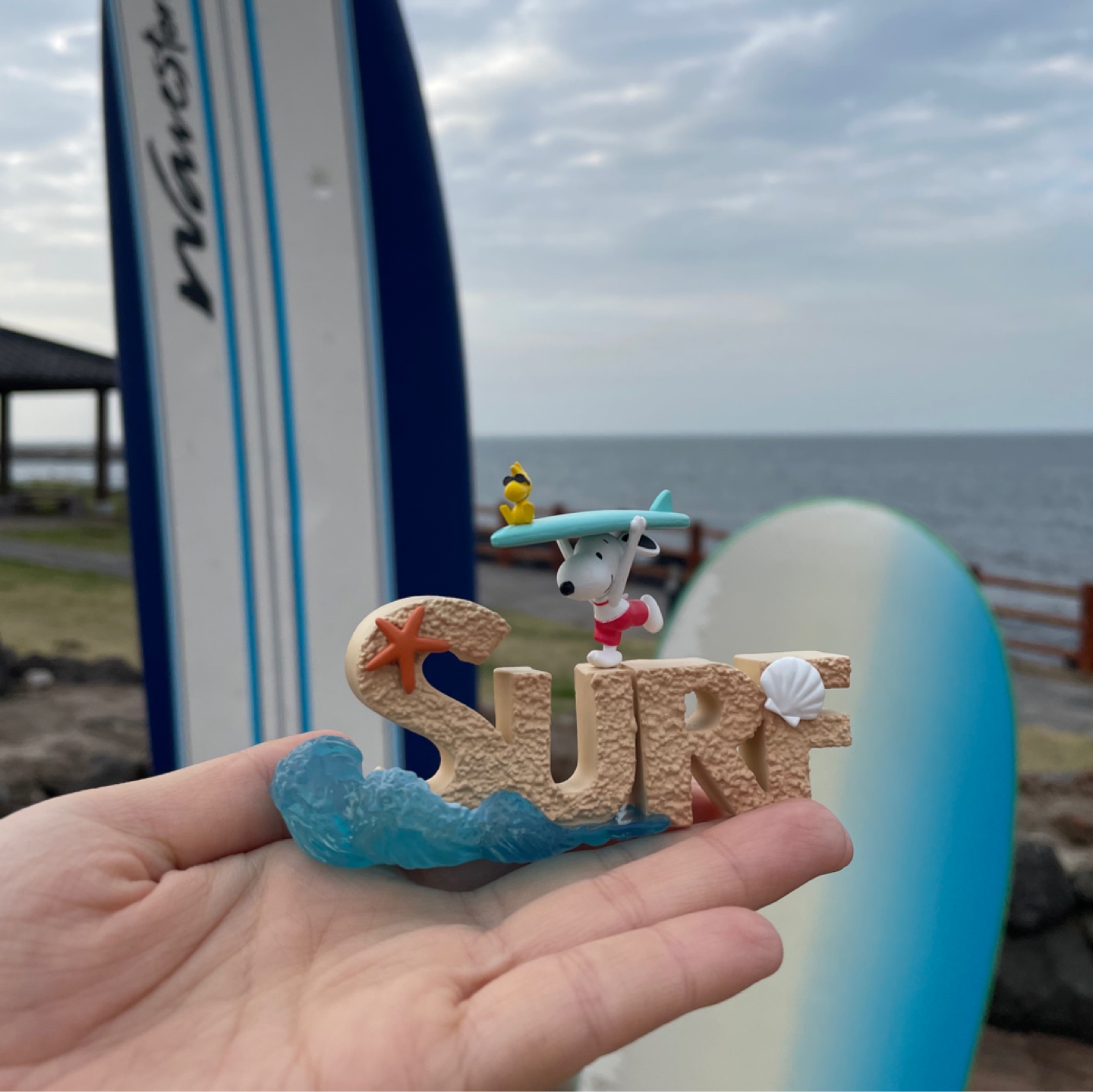 🌊물만난~~🏄‍♂️