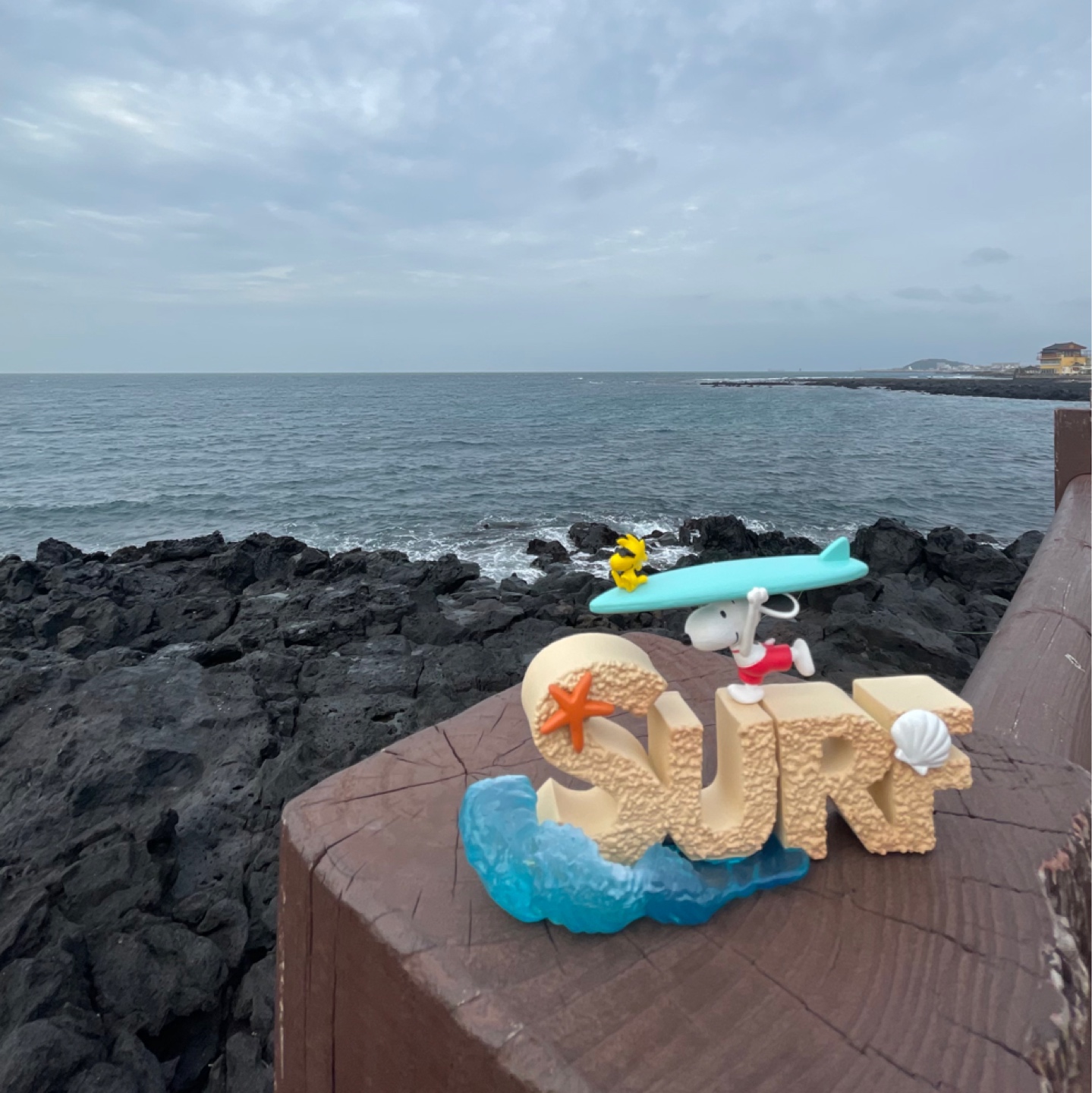 🌊물만난~~🏄‍♂️