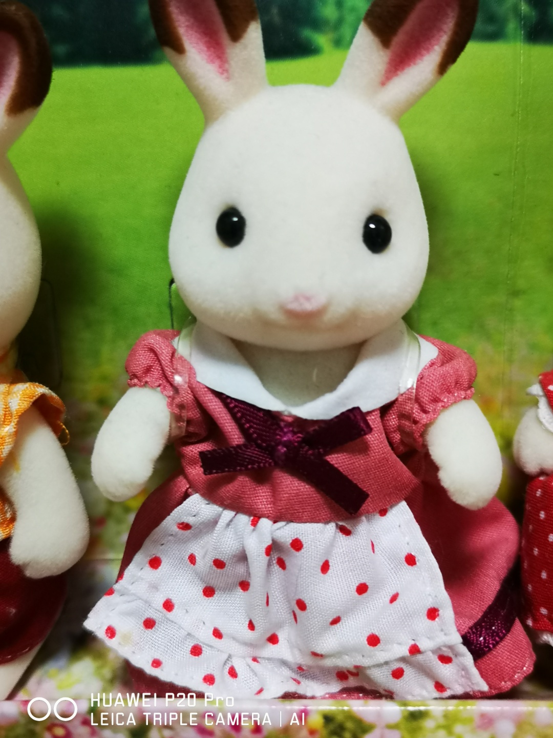 귀여운 실바니안 아가들이에요 ㅎ