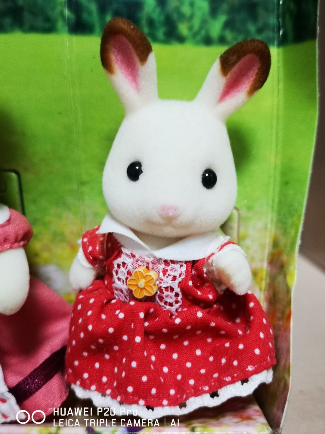 귀여운 실바니안 아가들이에요 ㅎ