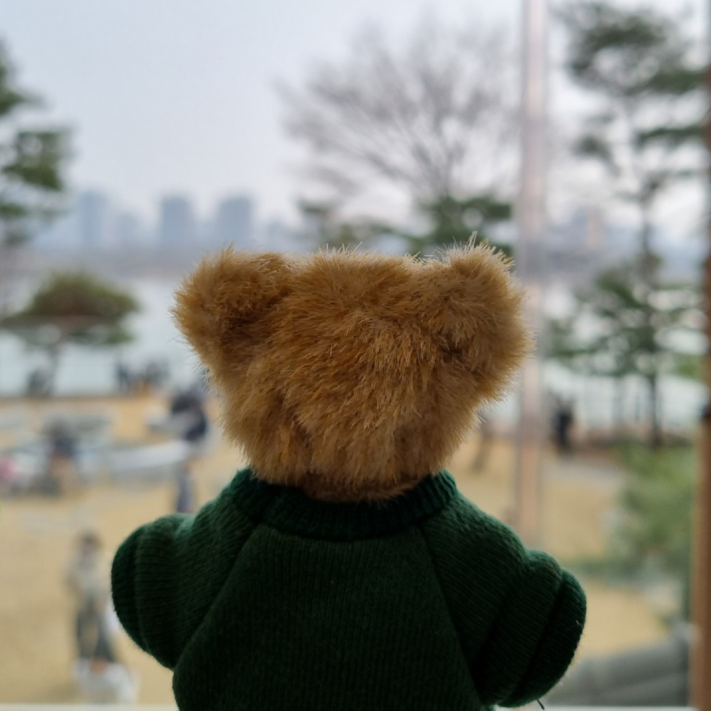 다음엔 꼭 둘이 오리라...