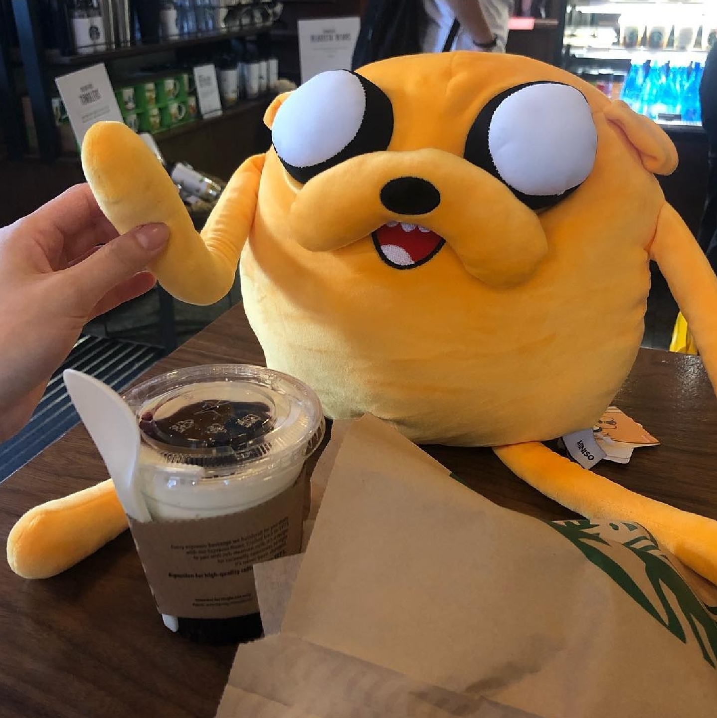 Aussie Jake !