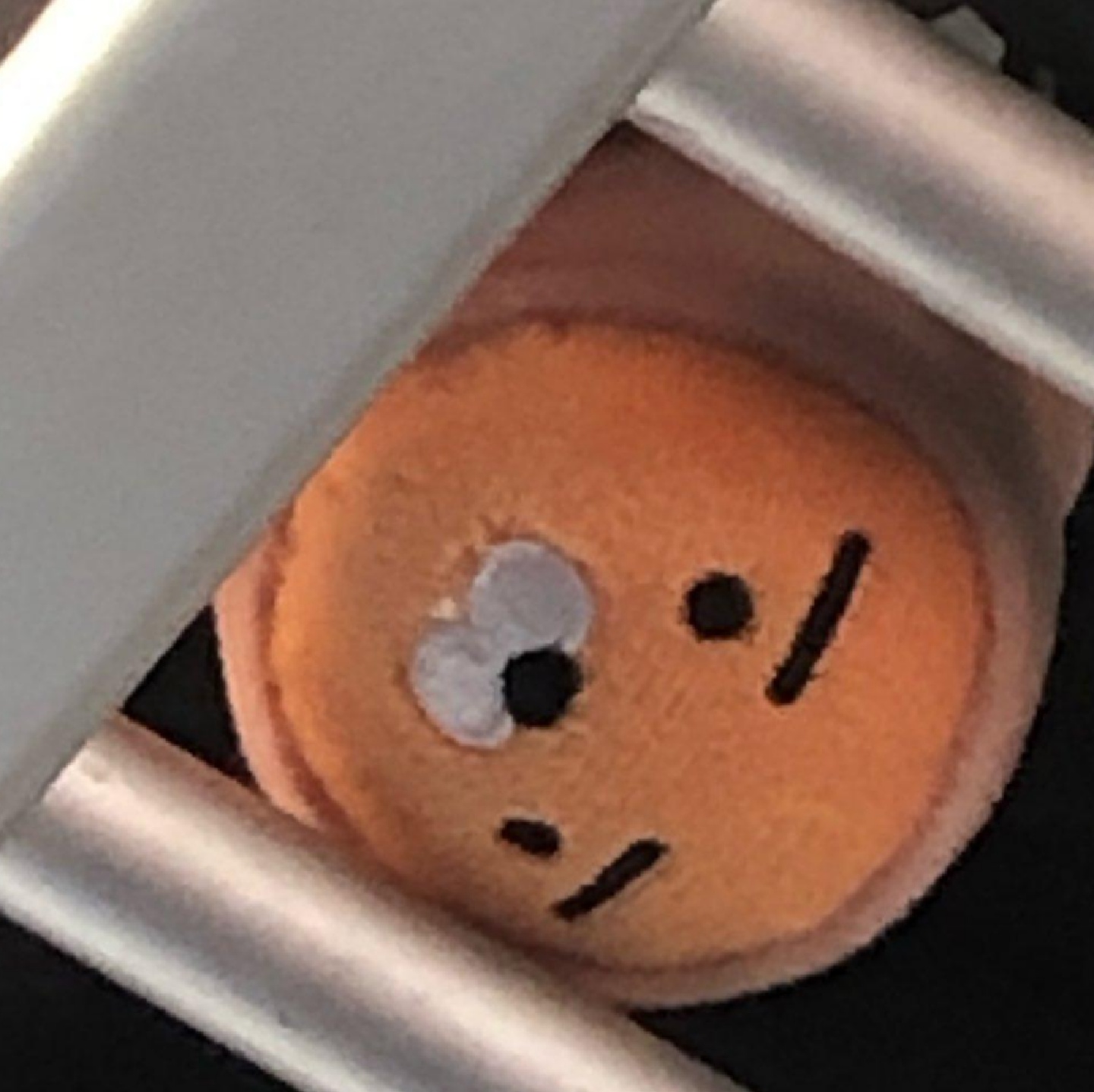 라이언