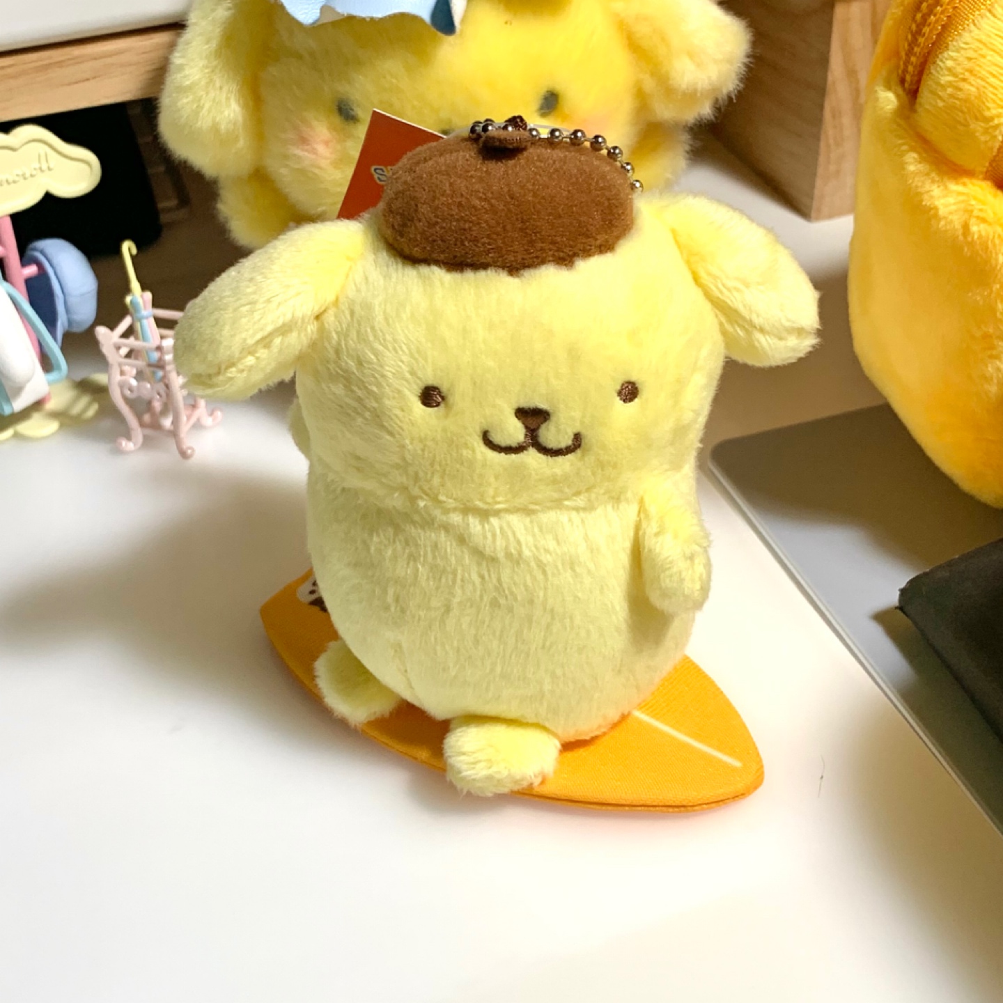 서핑하는 푸린이