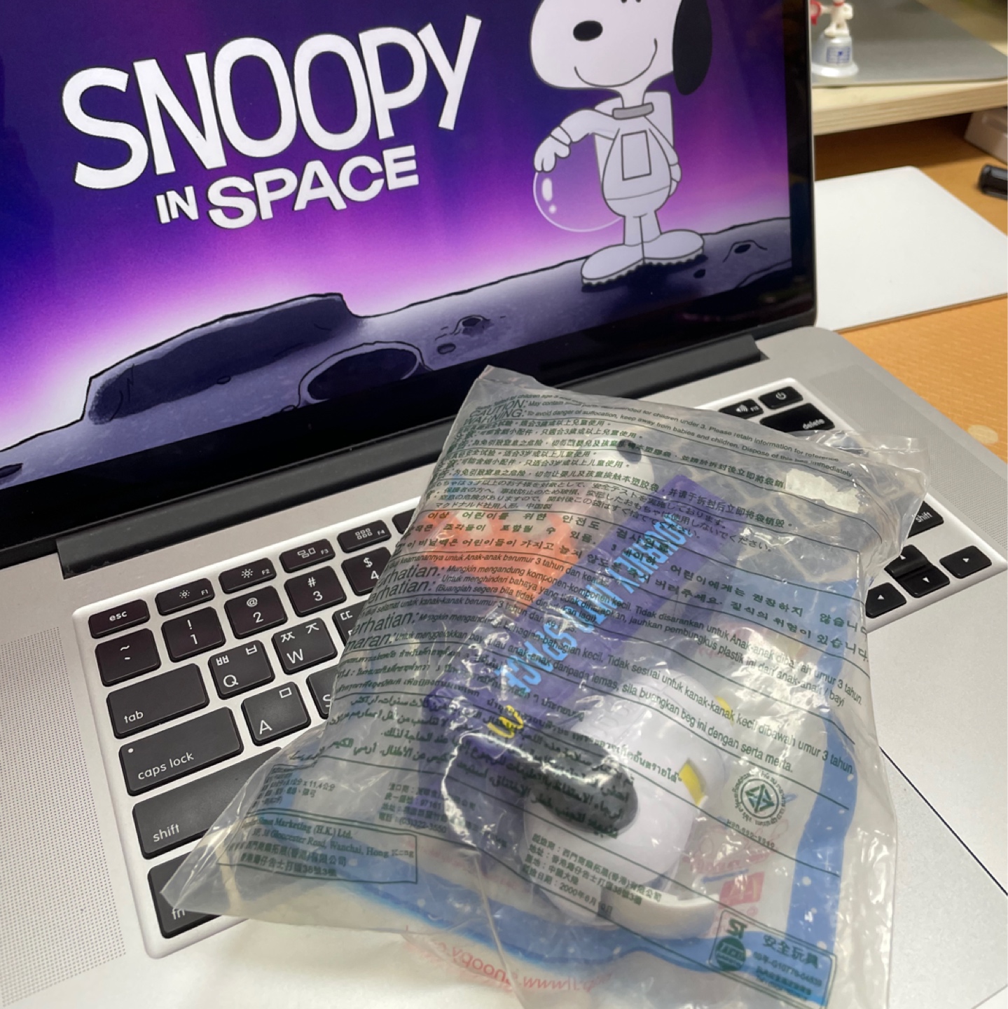 SPACE  X  SNOOPY
