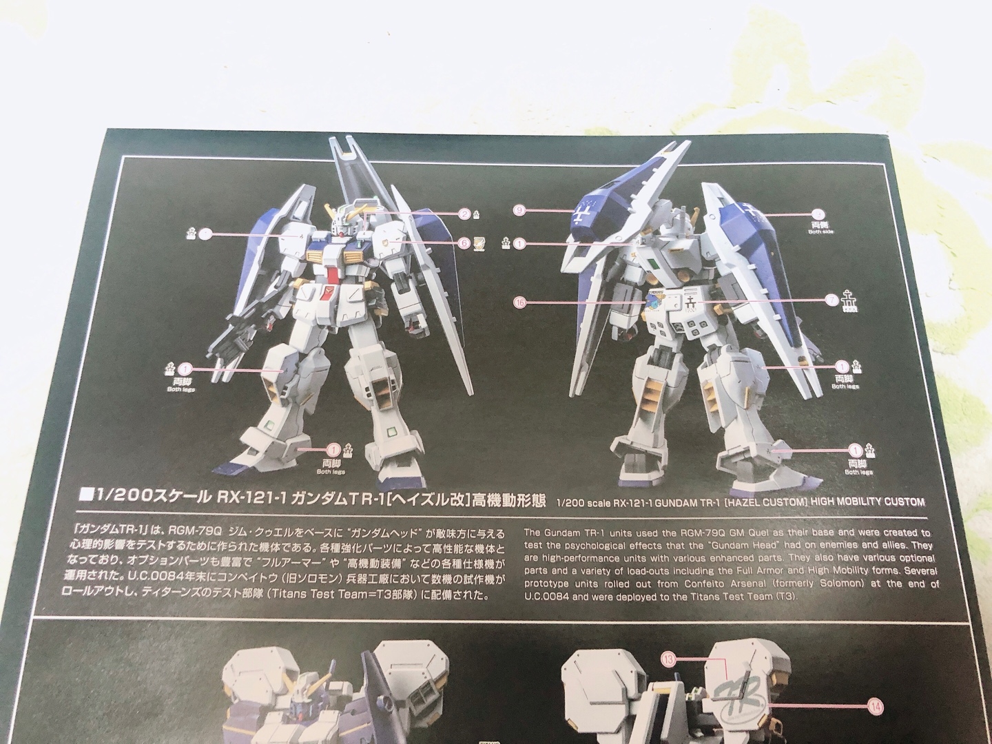 AOZ(ADVICE OF Z) 티탄즈 의 깃발 아래 복각 세트 