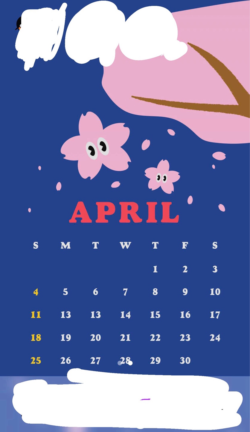 배경화면 설정완료