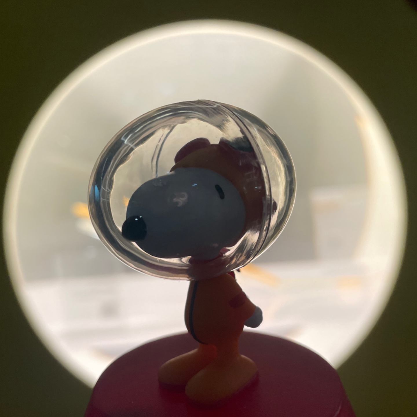 SPACE 