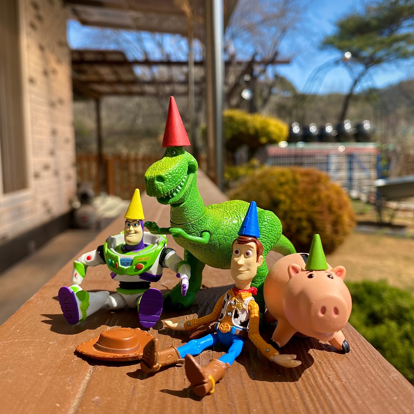 TOY STORY