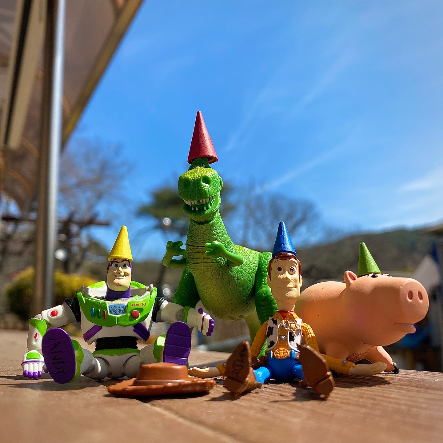 TOY STORY