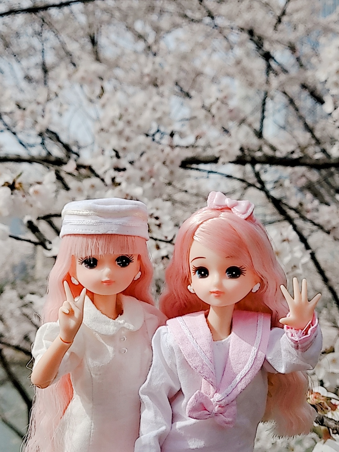 따스한 봄날❤벚꽃과 함께🌸🌸🌸🌸🌸