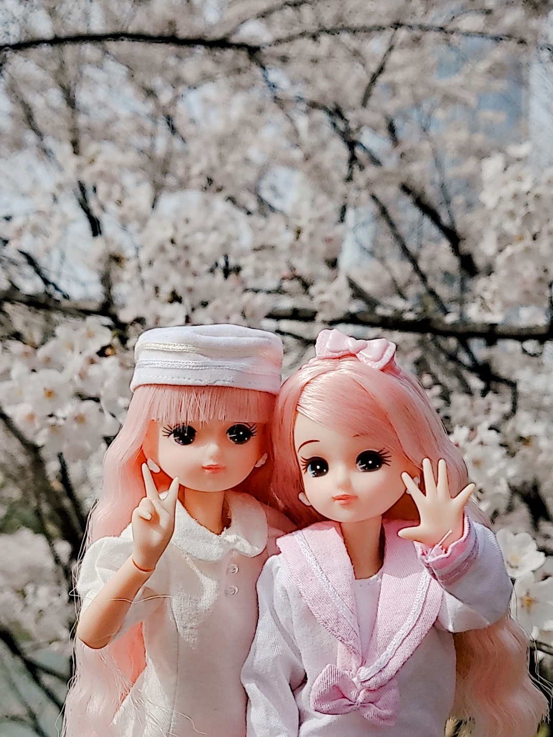 따스한 봄날❤벚꽃과 함께🌸🌸🌸🌸🌸