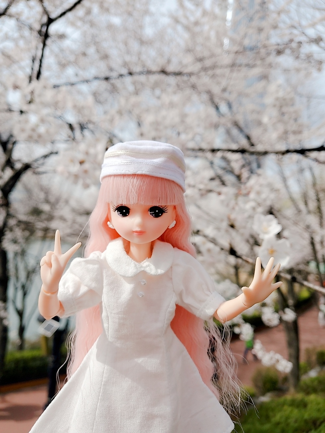따스한 봄날❤벚꽃과 함께🌸🌸🌸🌸🌸