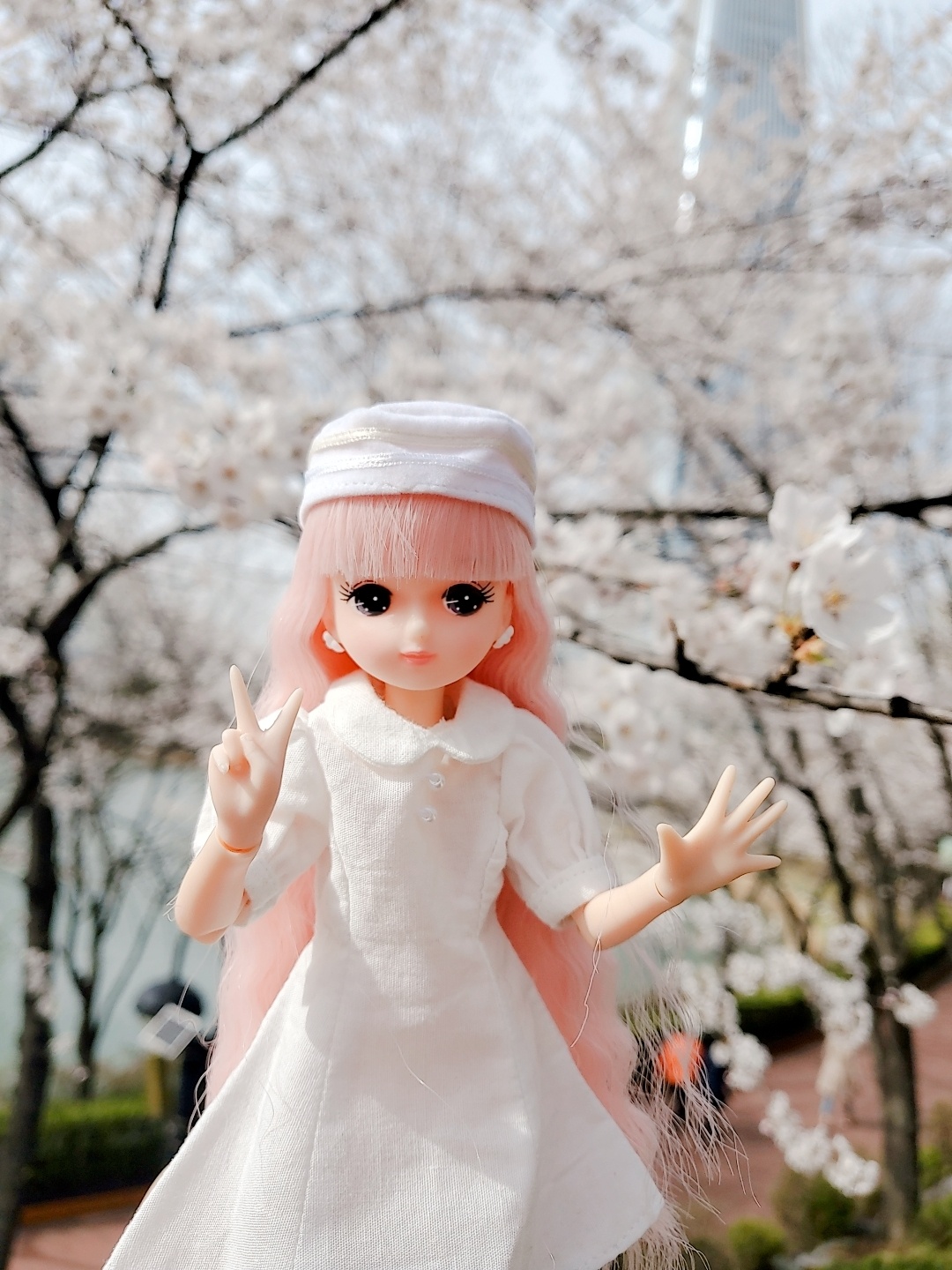 따스한 봄날❤벚꽃과 함께🌸🌸🌸🌸🌸