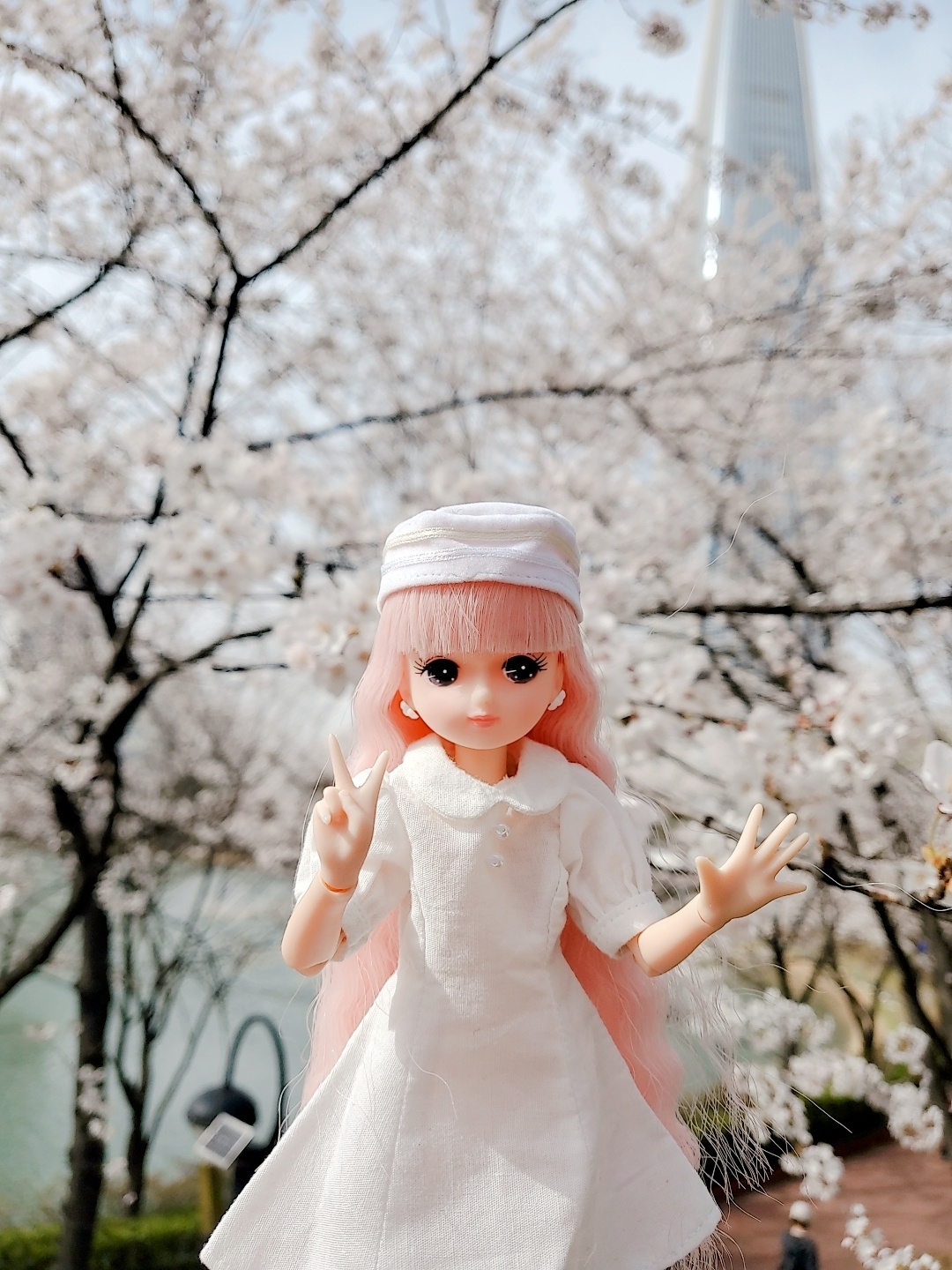 따스한 봄날❤벚꽃과 함께🌸🌸🌸🌸🌸