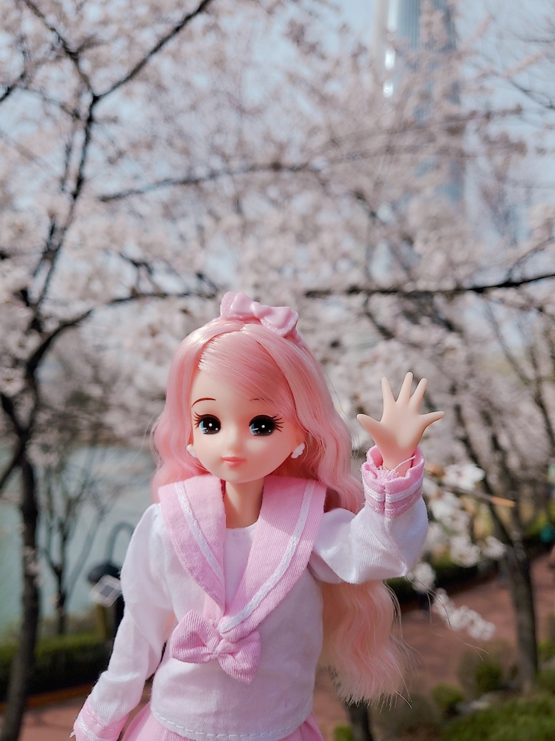 따스한 봄날❤벚꽃과 함께🌸🌸🌸🌸🌸