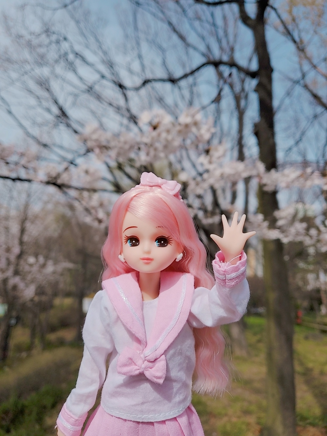 따스한 봄날❤벚꽃과 함께🌸🌸🌸🌸🌸
