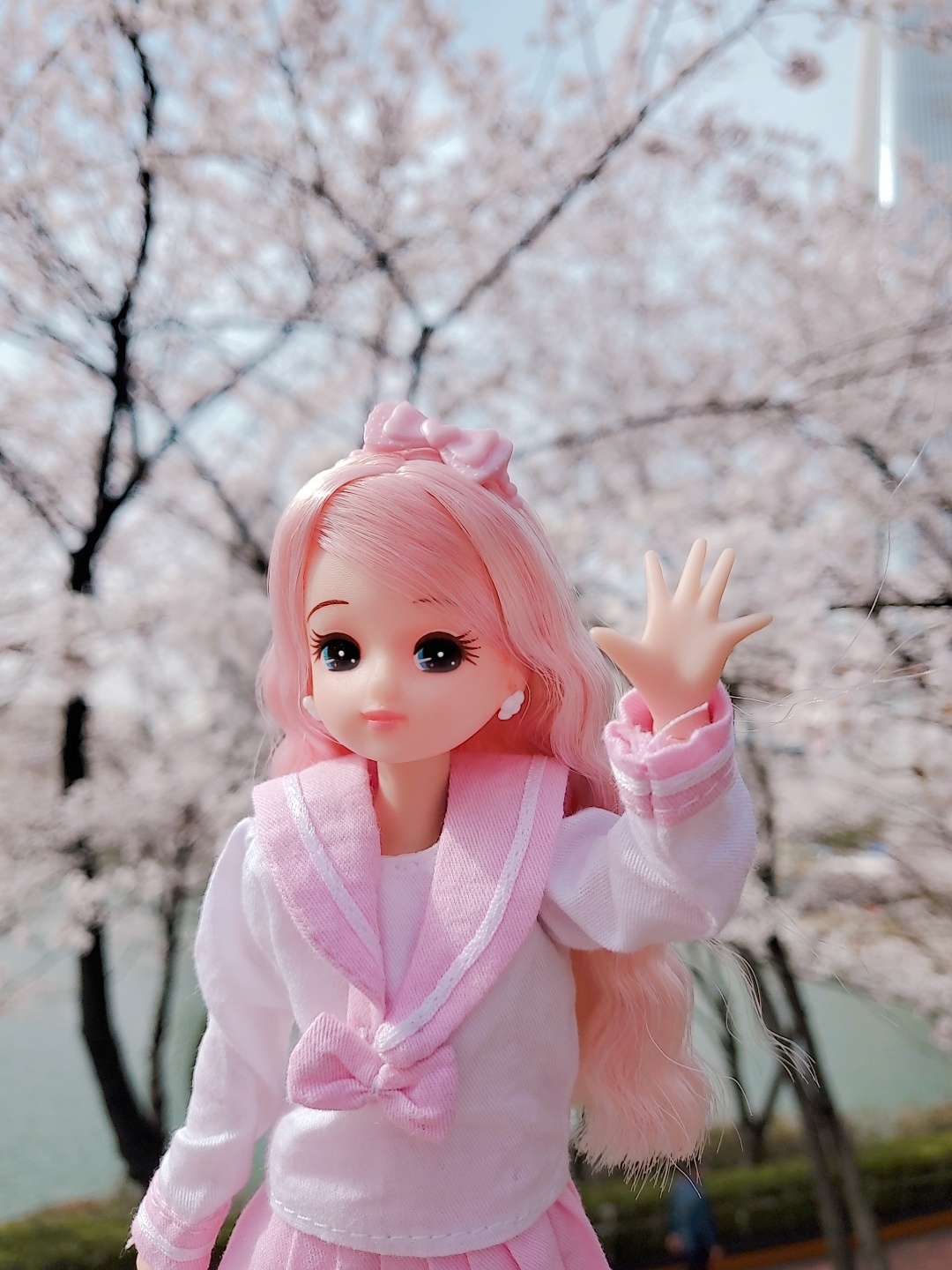 따스한 봄날❤벚꽃과 함께🌸🌸🌸🌸🌸