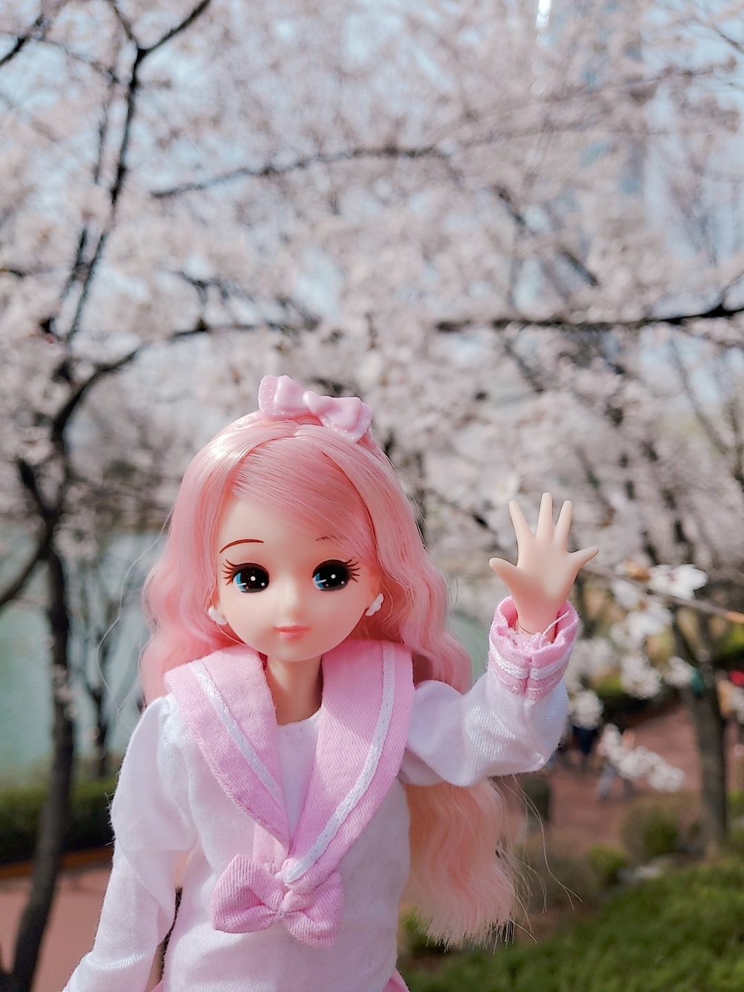 따스한 봄날❤벚꽃과 함께🌸🌸🌸🌸🌸