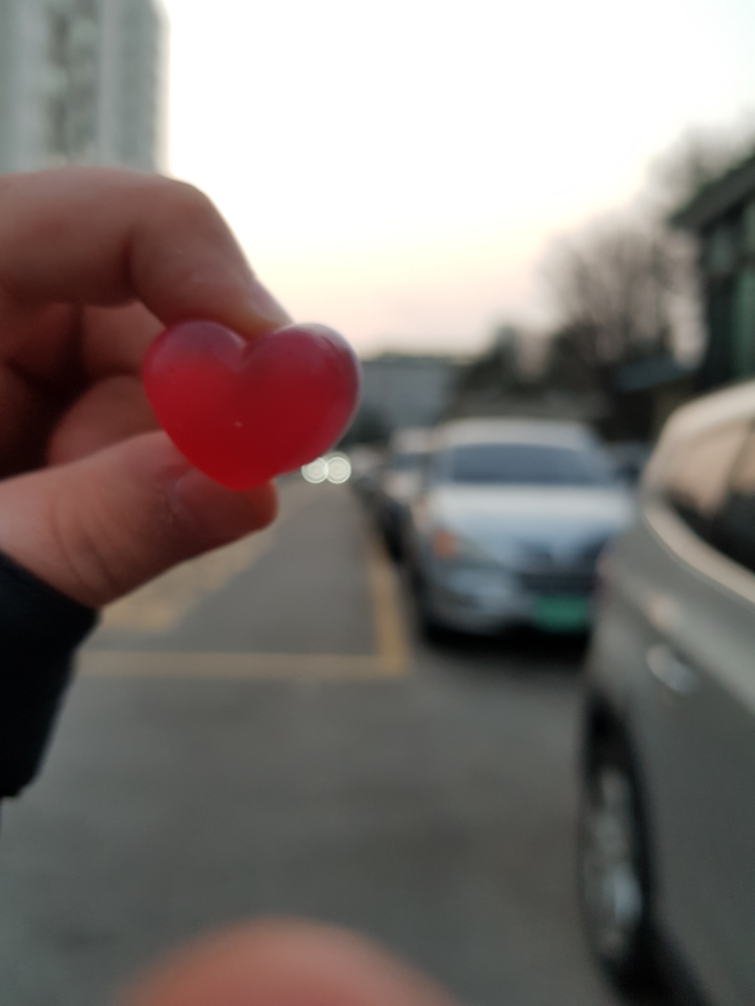 개인적으로 하리보 최고임